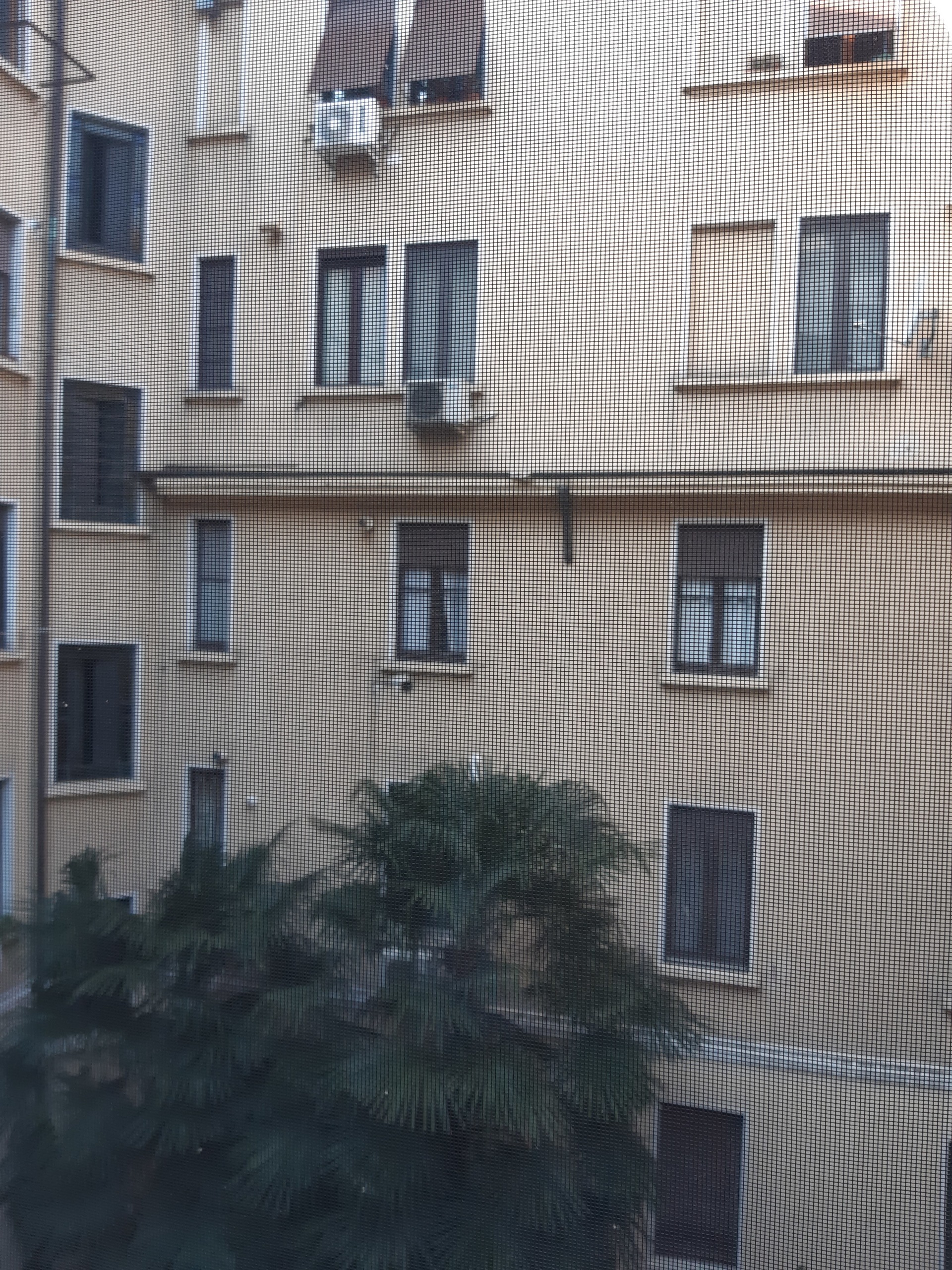 Immagine 19 di Appartamento in affitto  in Via Trebbia 33 a Milano