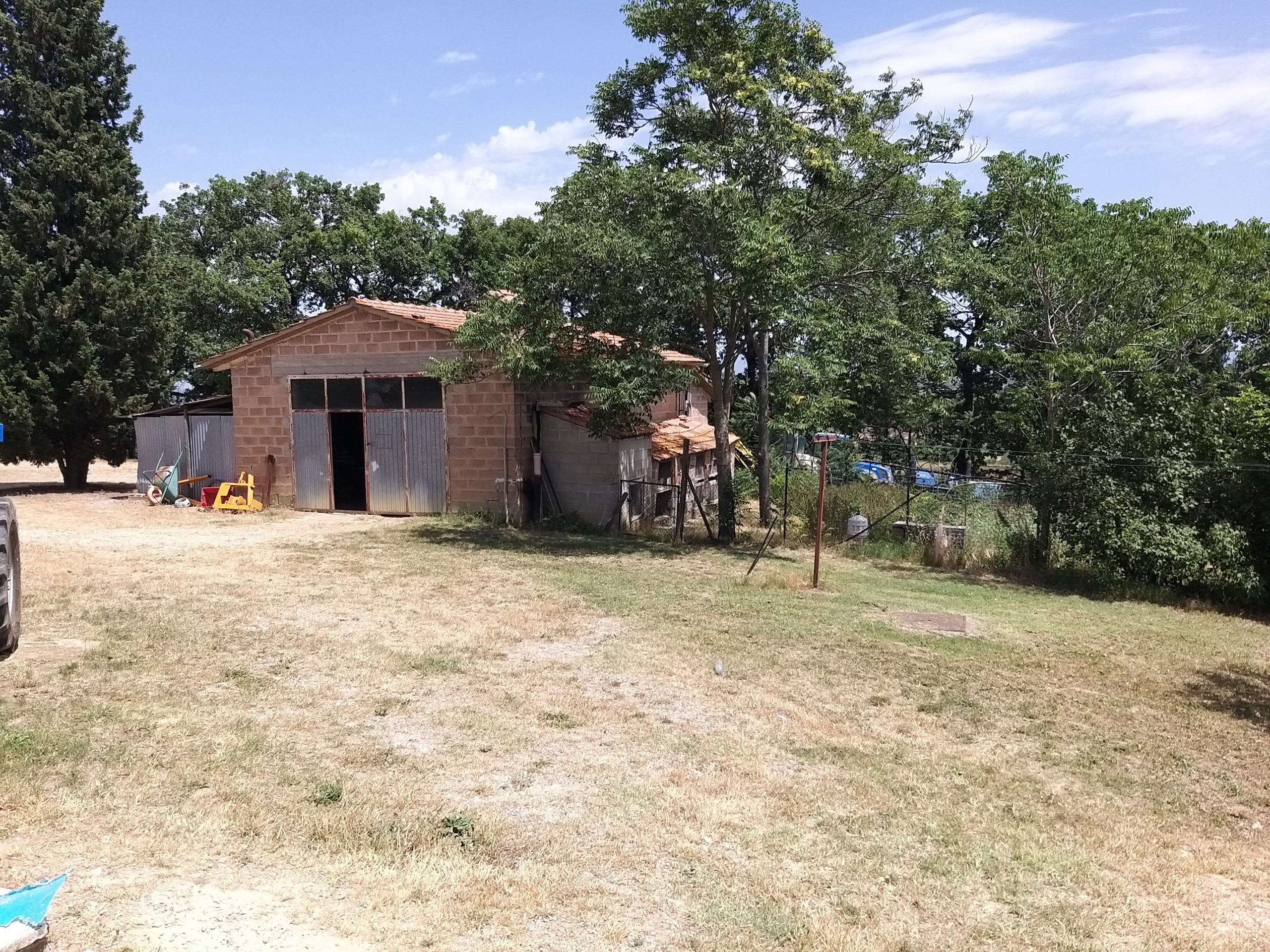Immagine 6 di Terreno agricolo in vendita  in Via Ascianello a Montepulciano