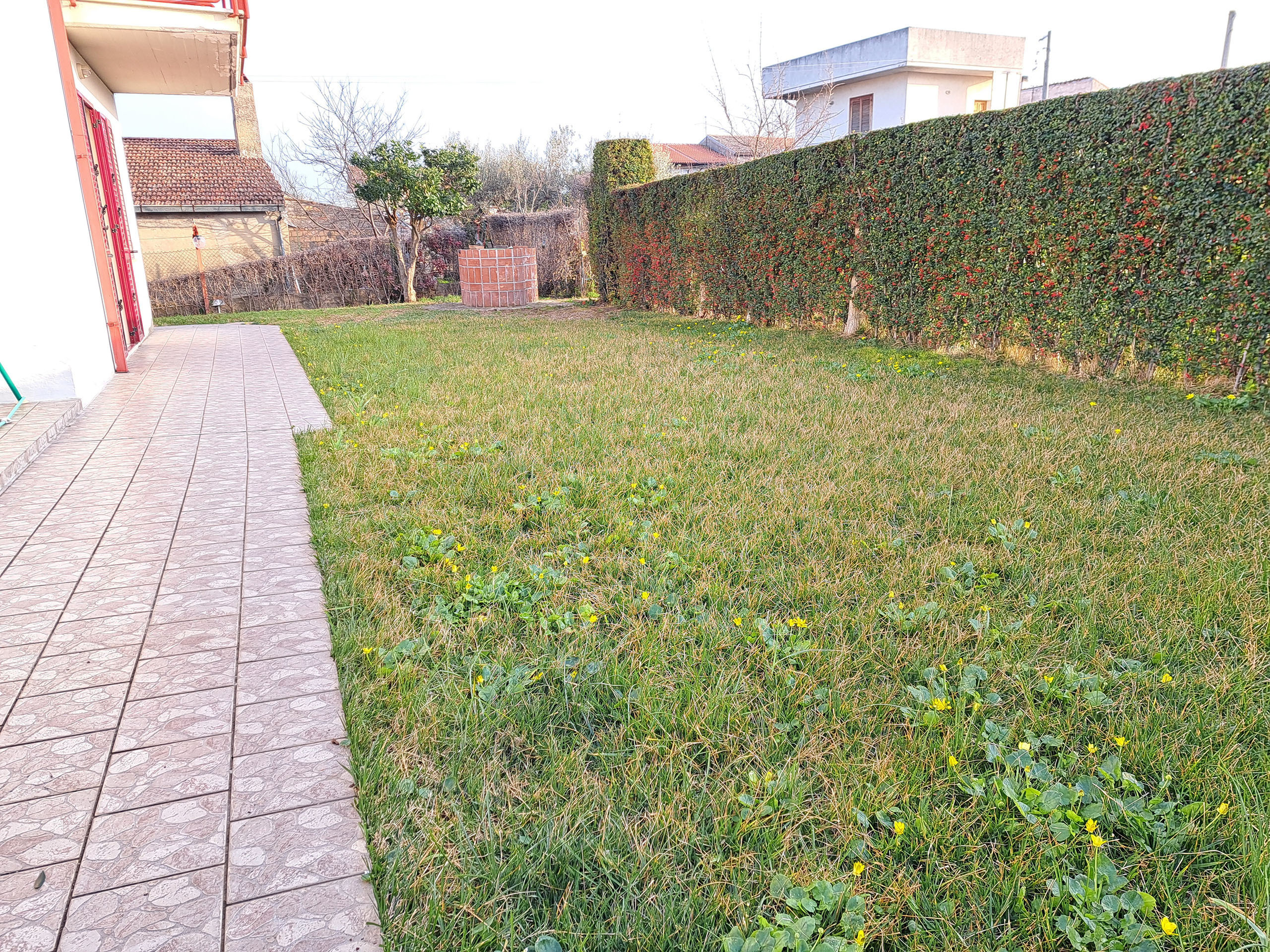Foto annuncio 43