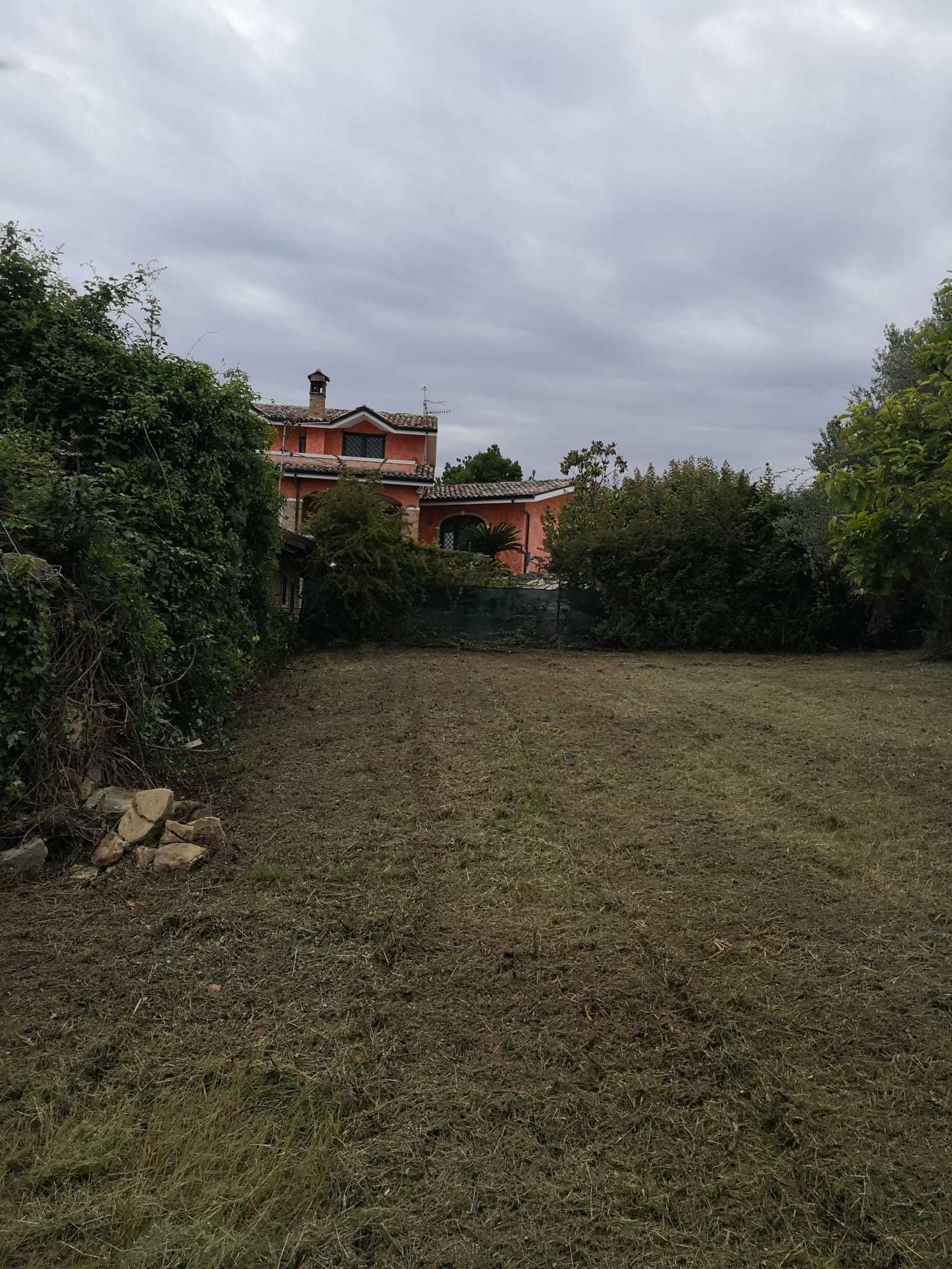Foto annuncio 6