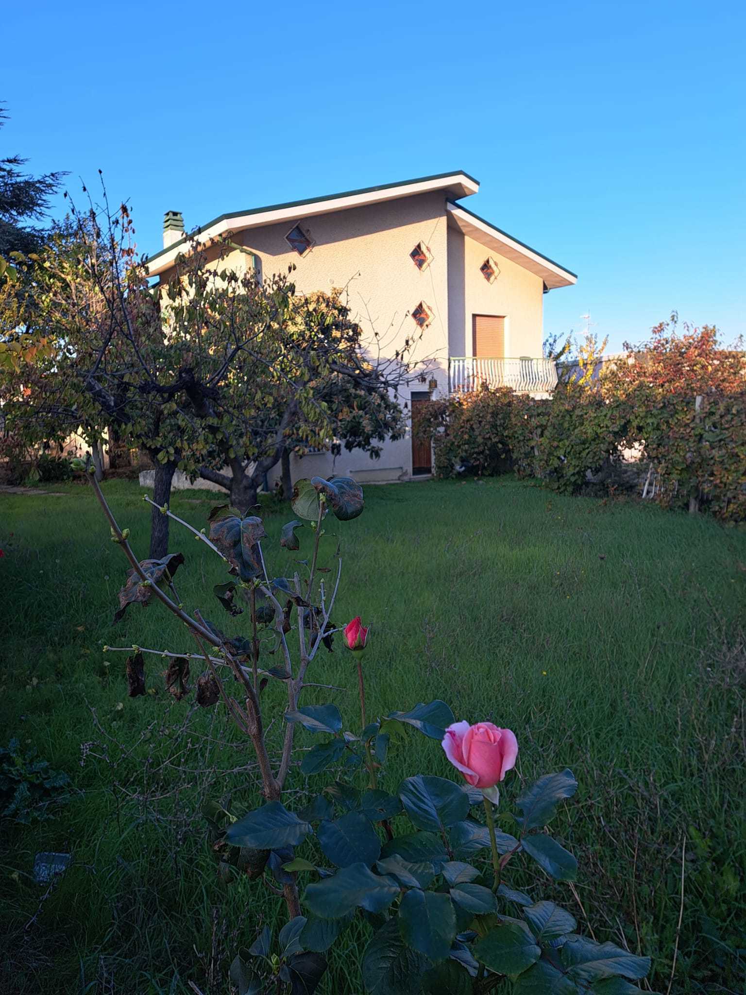 Foto annuncio 28