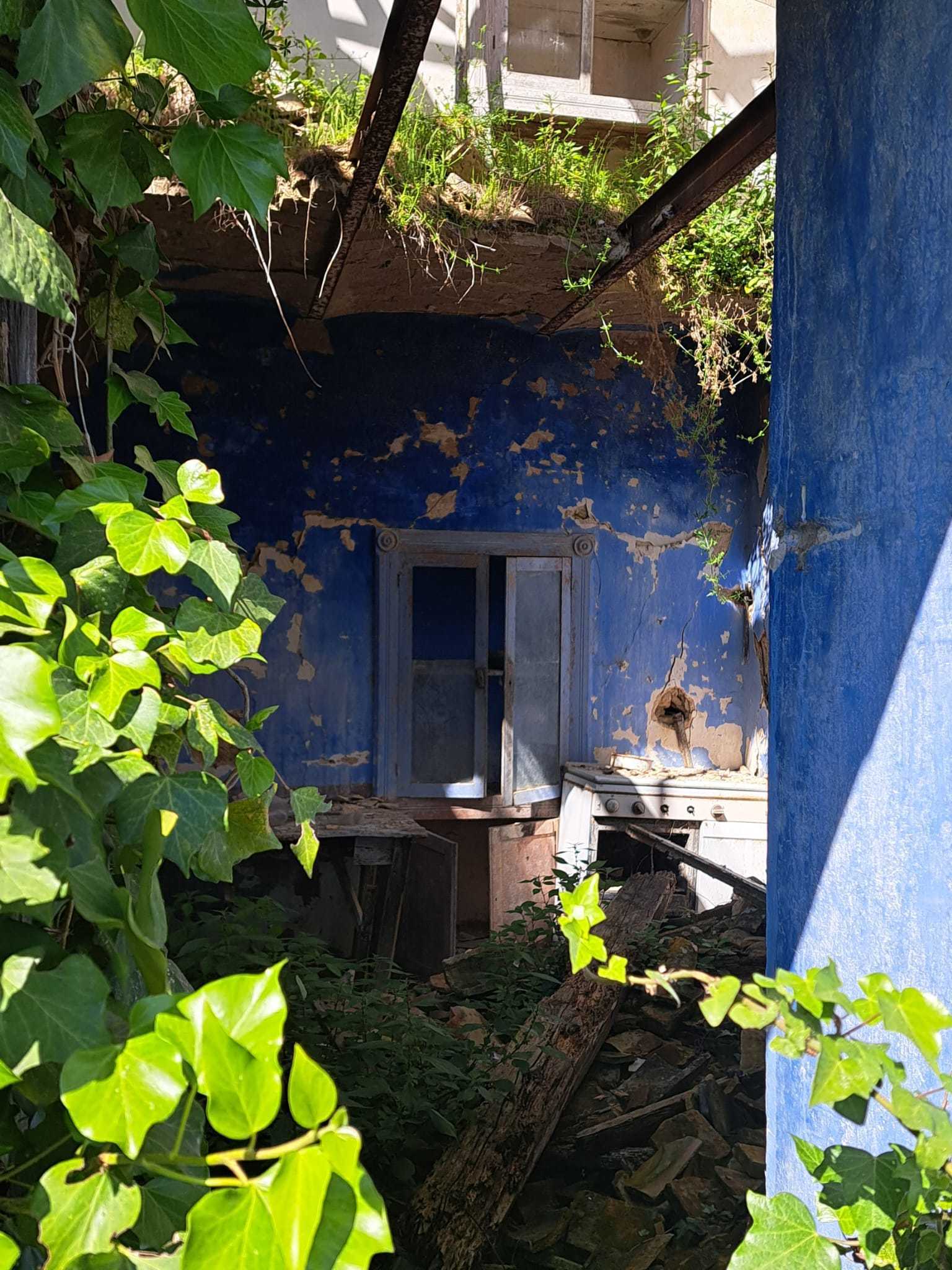 Foto annuncio 21