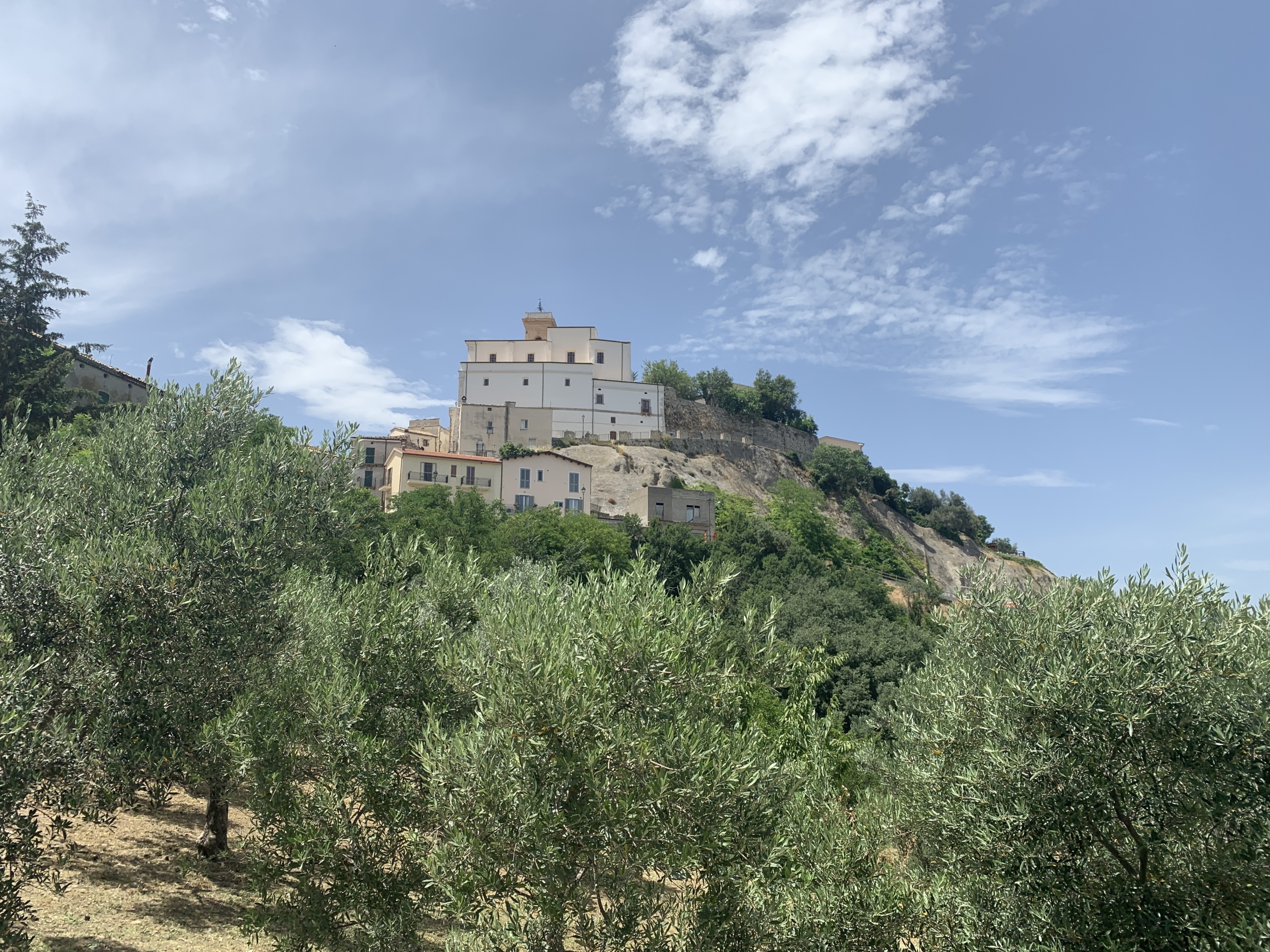 Immagine 28 di Casa indipendente in vendita  a Altino
