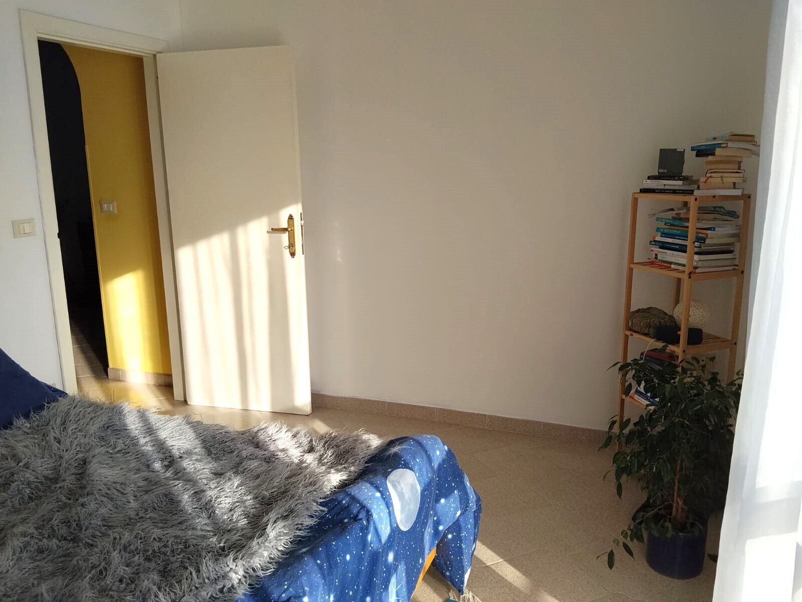 Foto annuncio 13