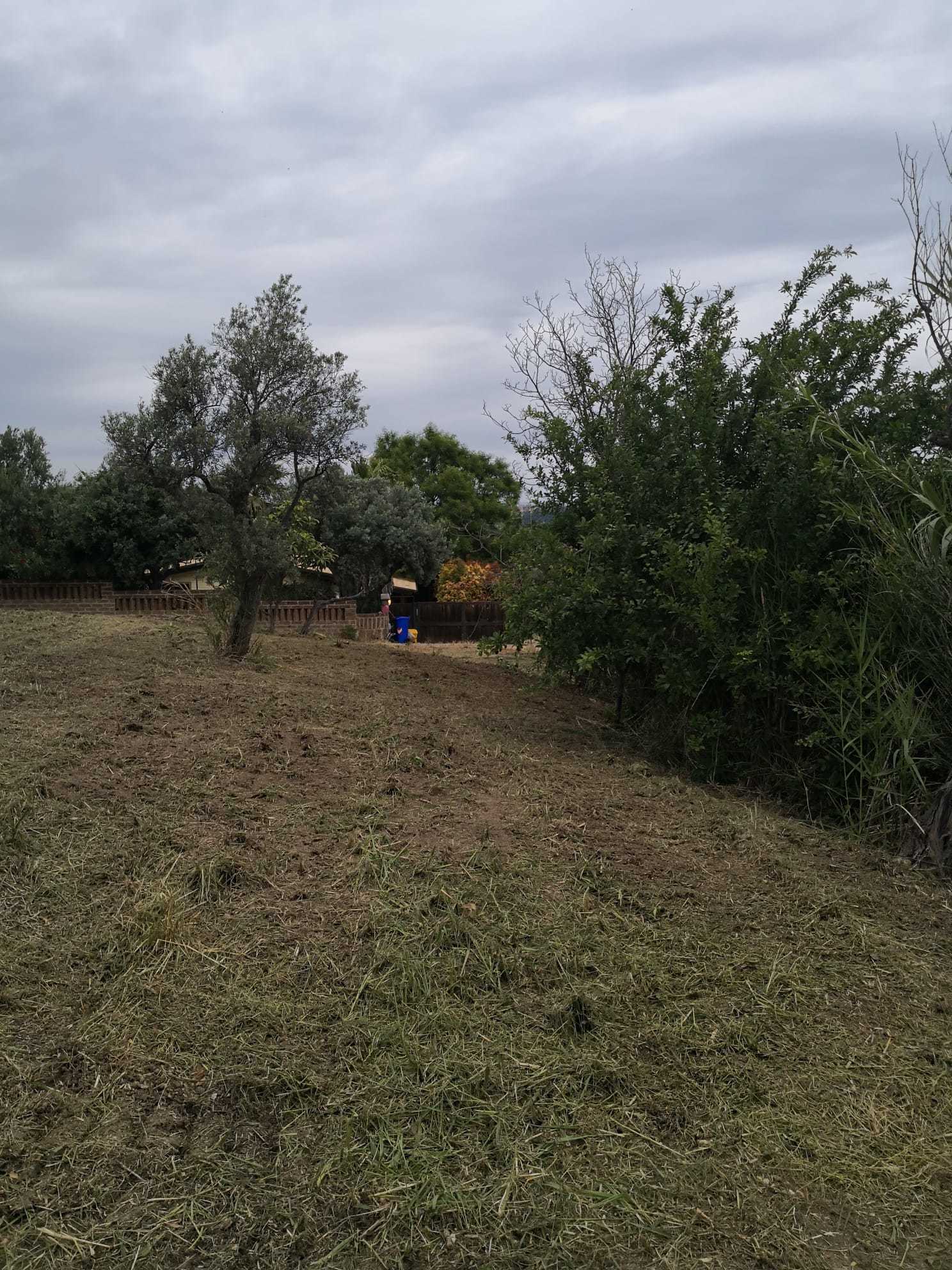Foto annuncio 7