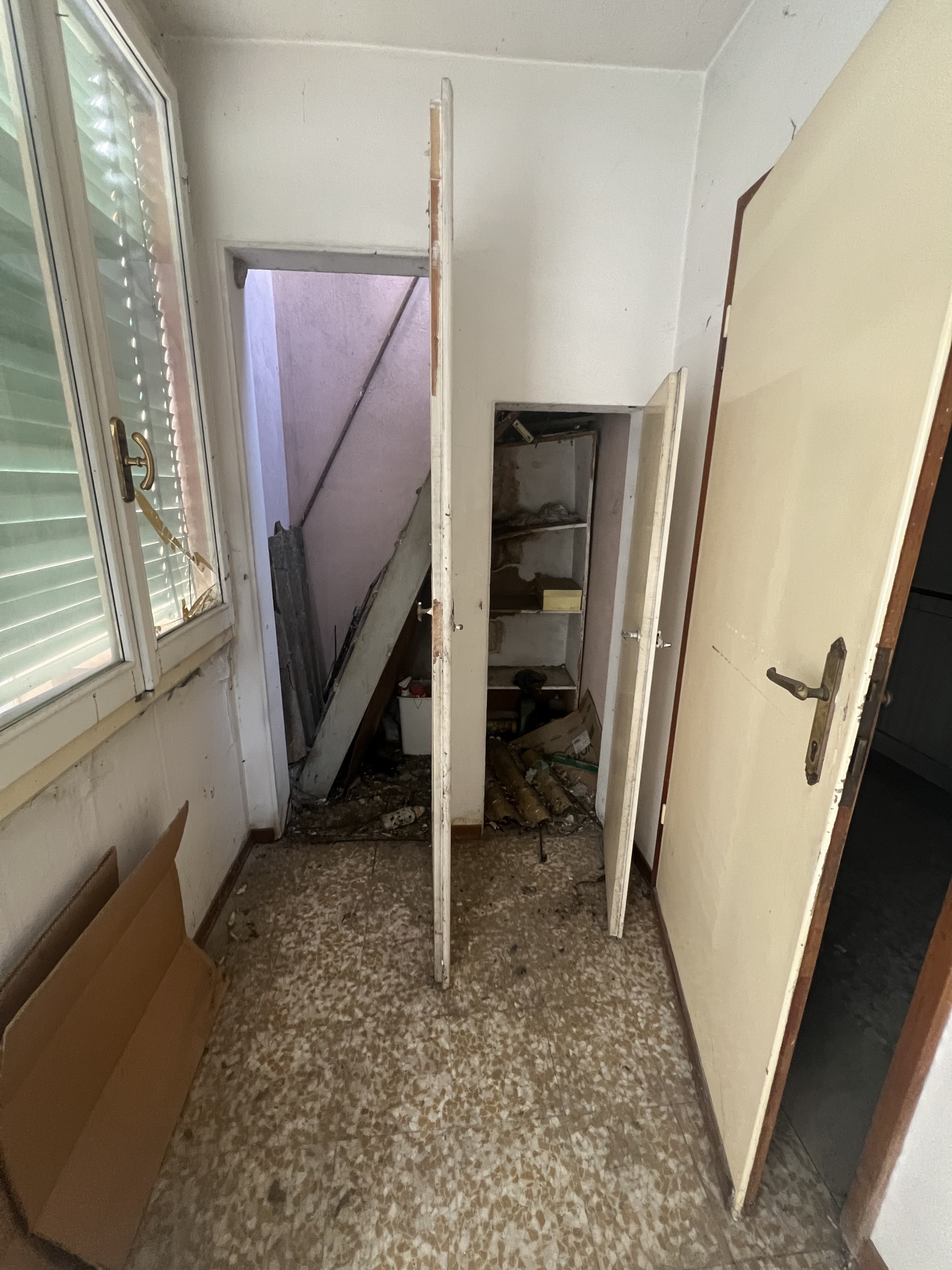 Foto annuncio 28