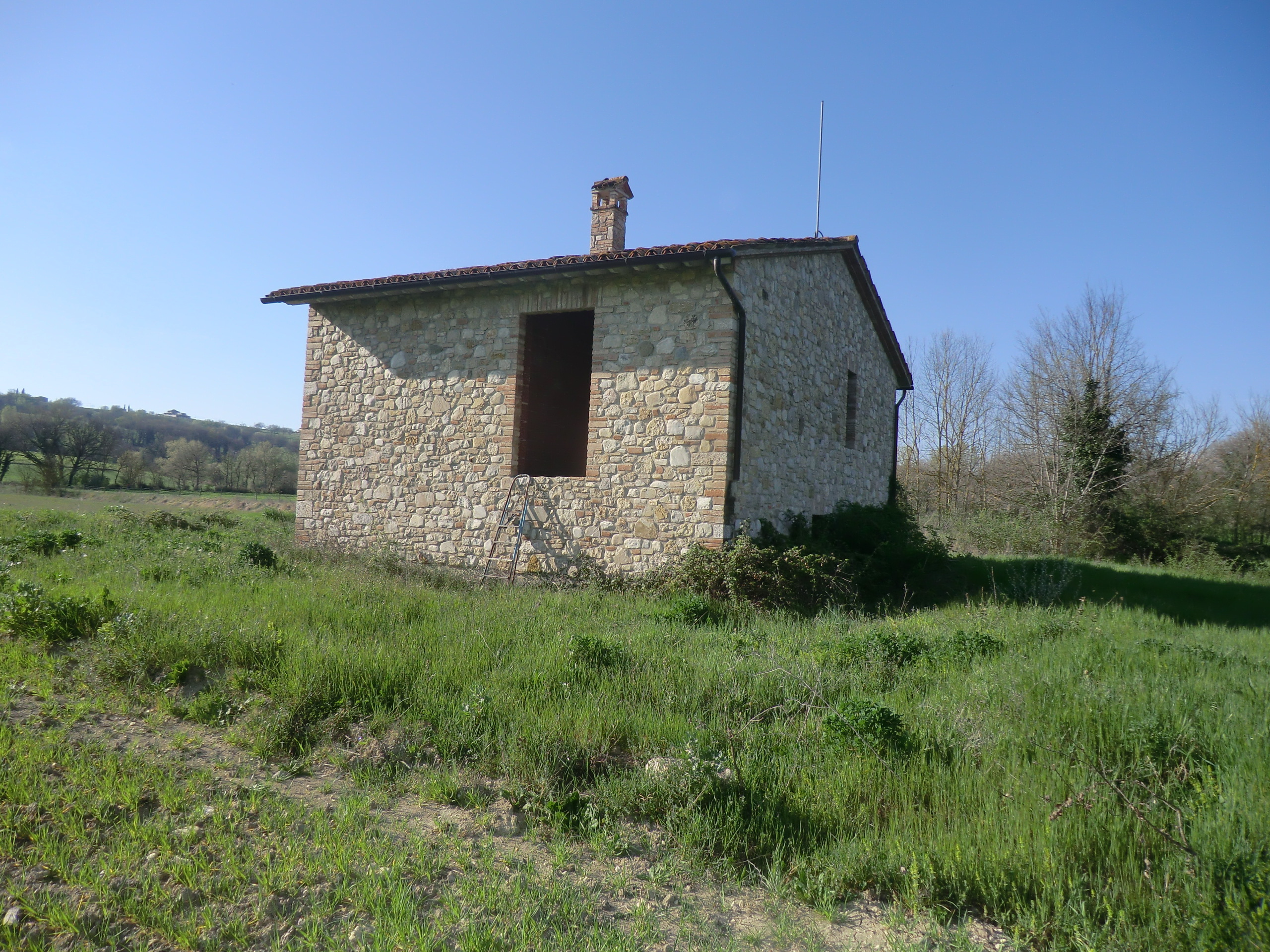 Foto annuncio 6