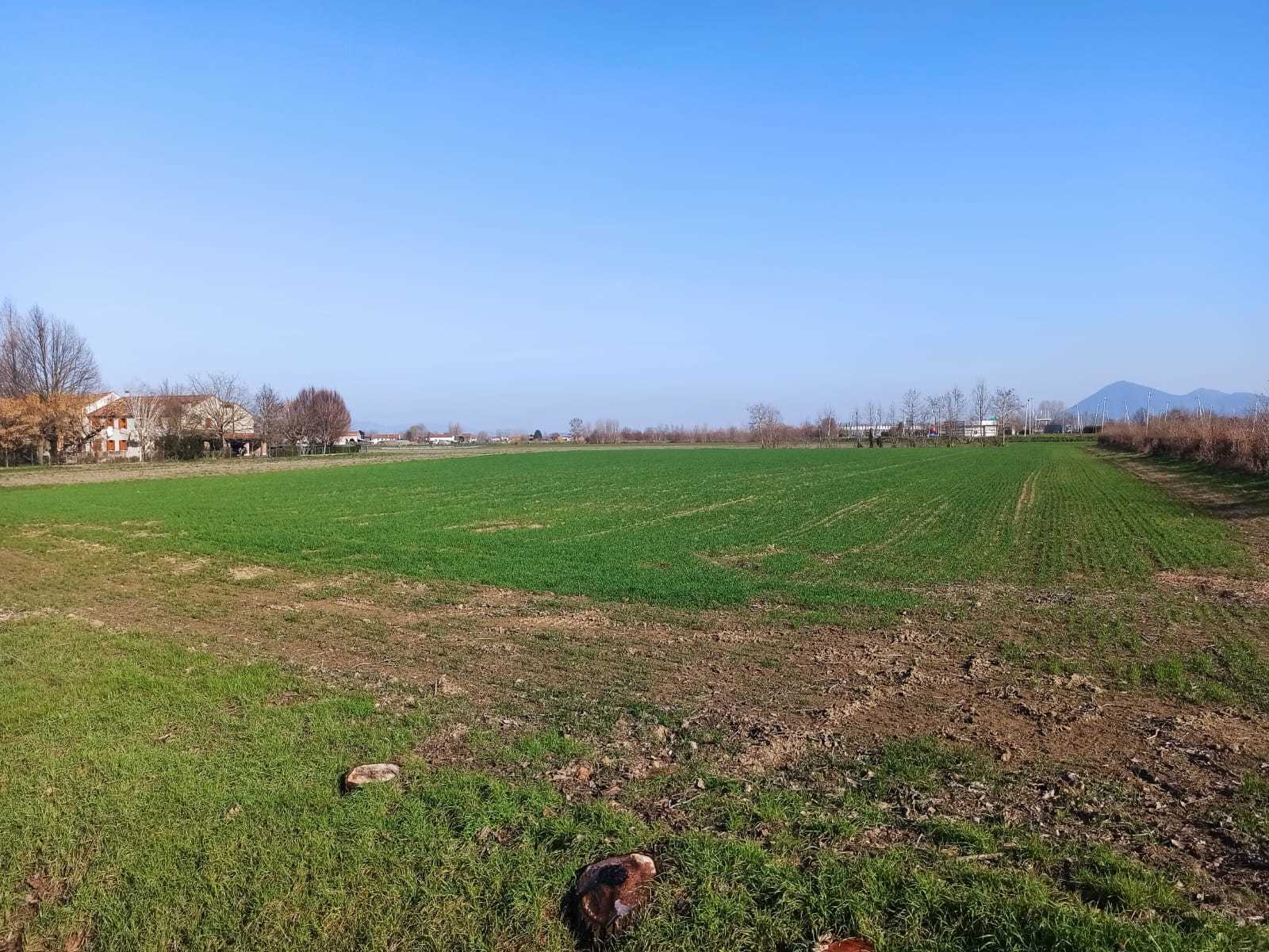Immagine 3 di Terreno agricolo in vendita  in Via Are 95 a Noventa Vicentina