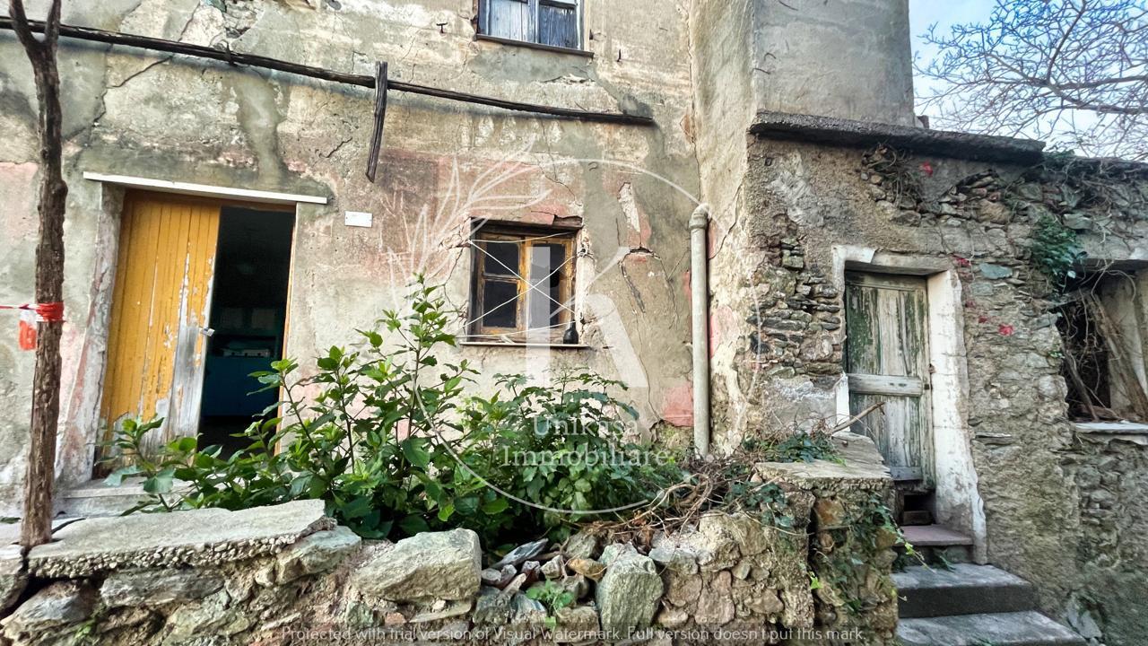 Foto annuncio 12