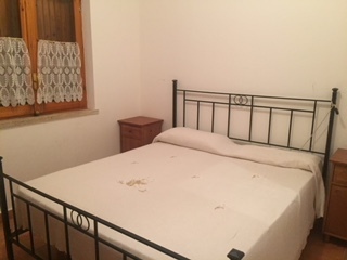 Foto annuncio 12