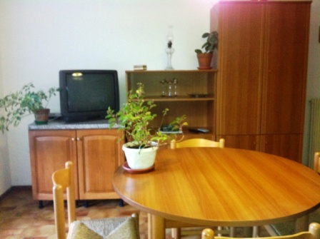 Foto annuncio 12