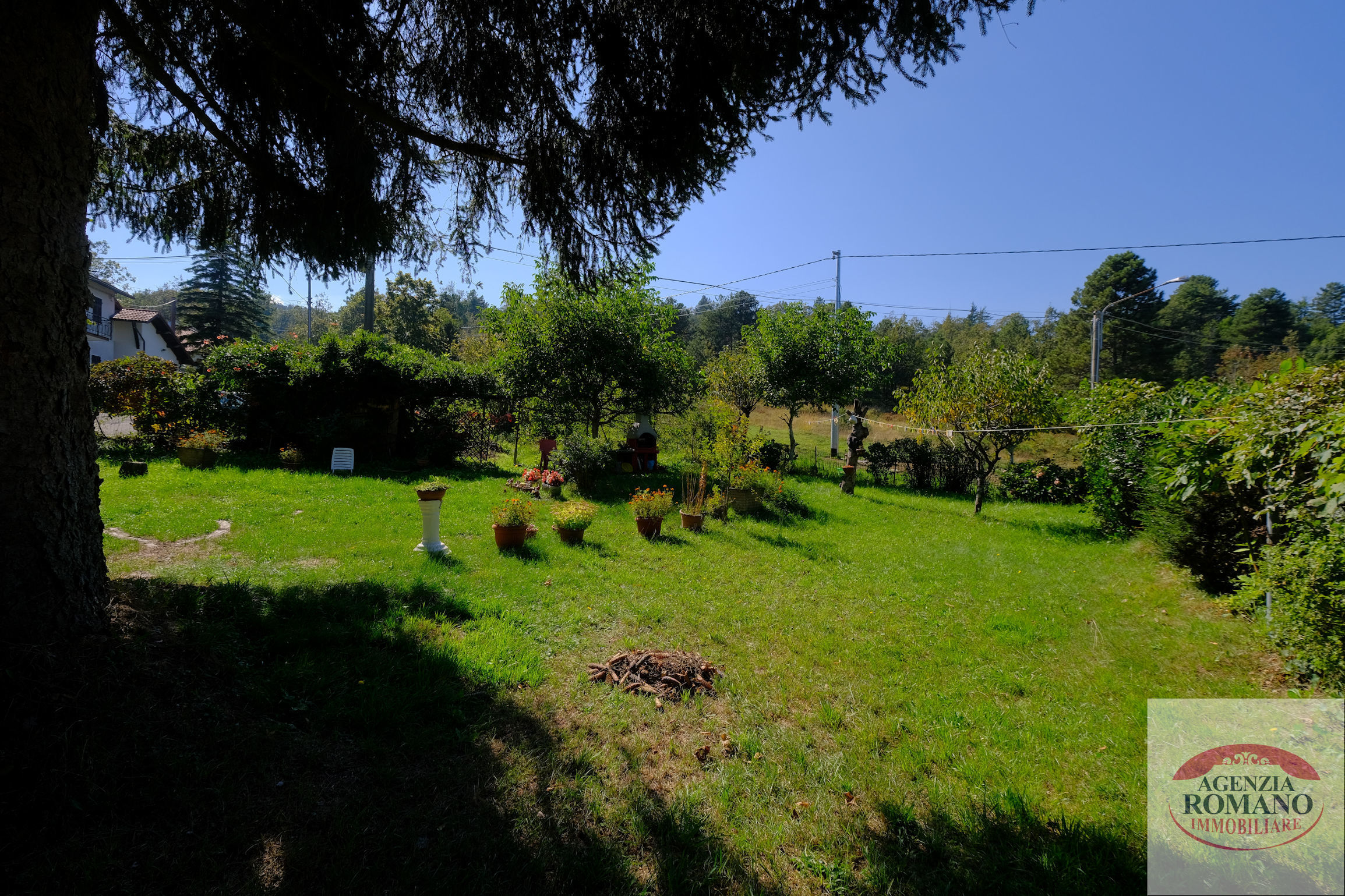 Foto annuncio 22