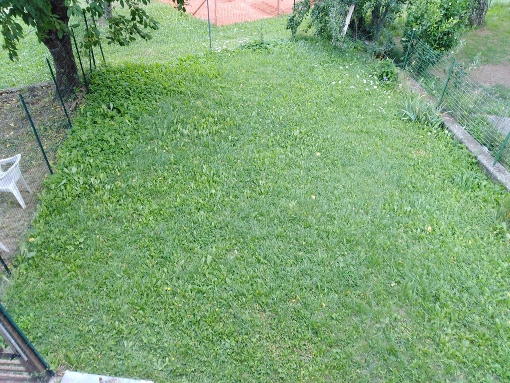Foto annuncio 8