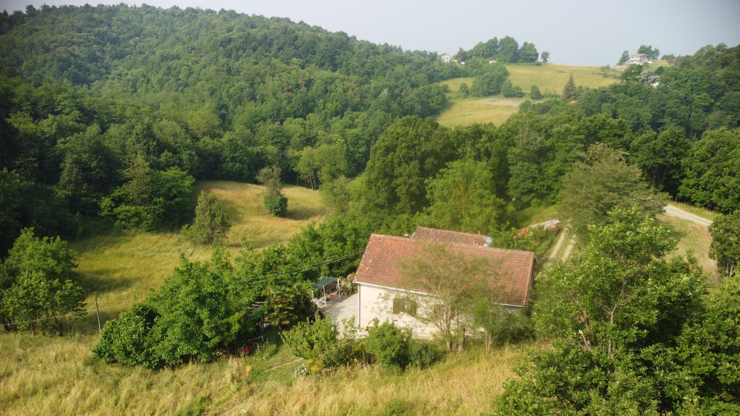 Foto annuncio 11