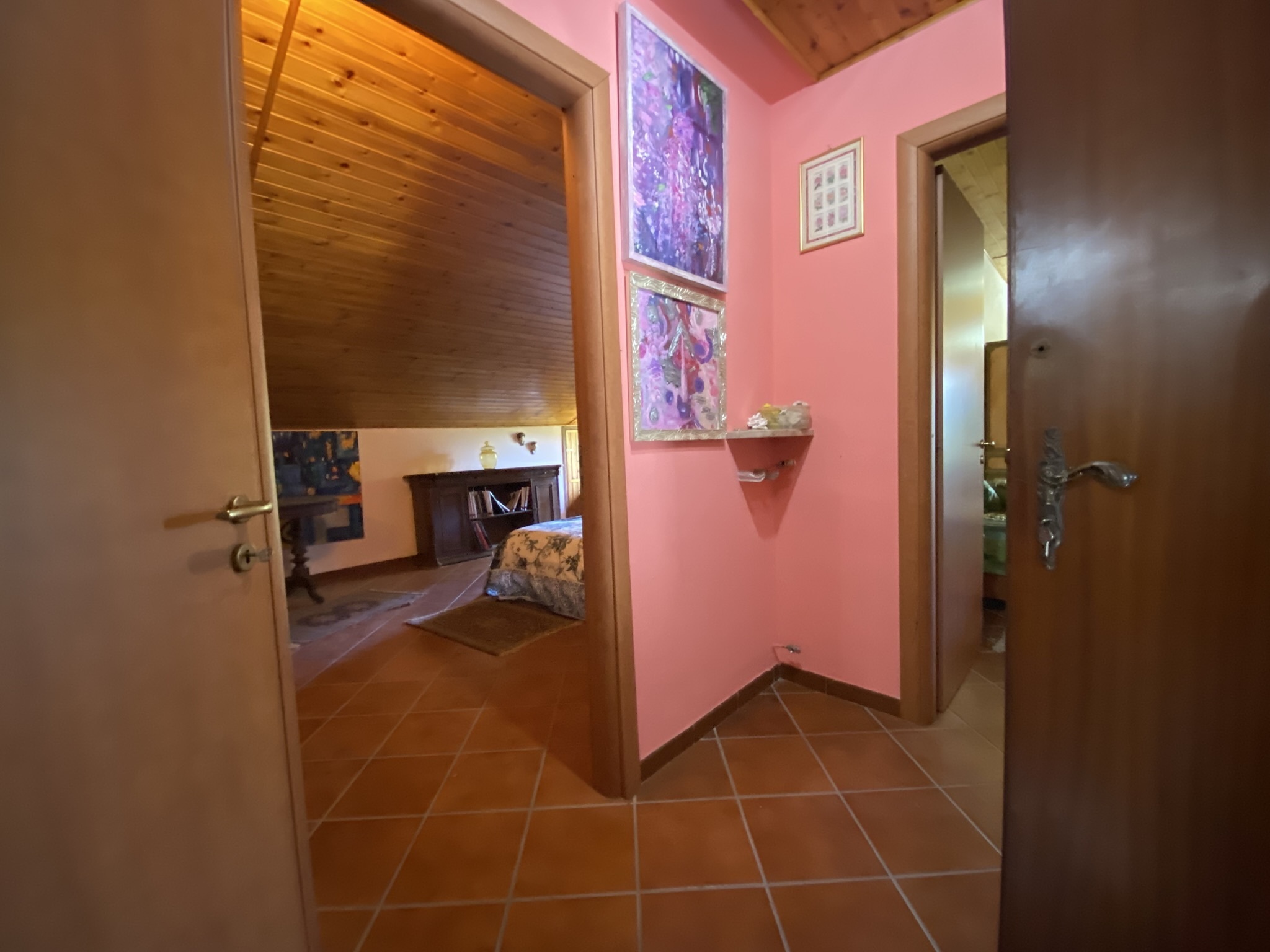 Foto annuncio 37