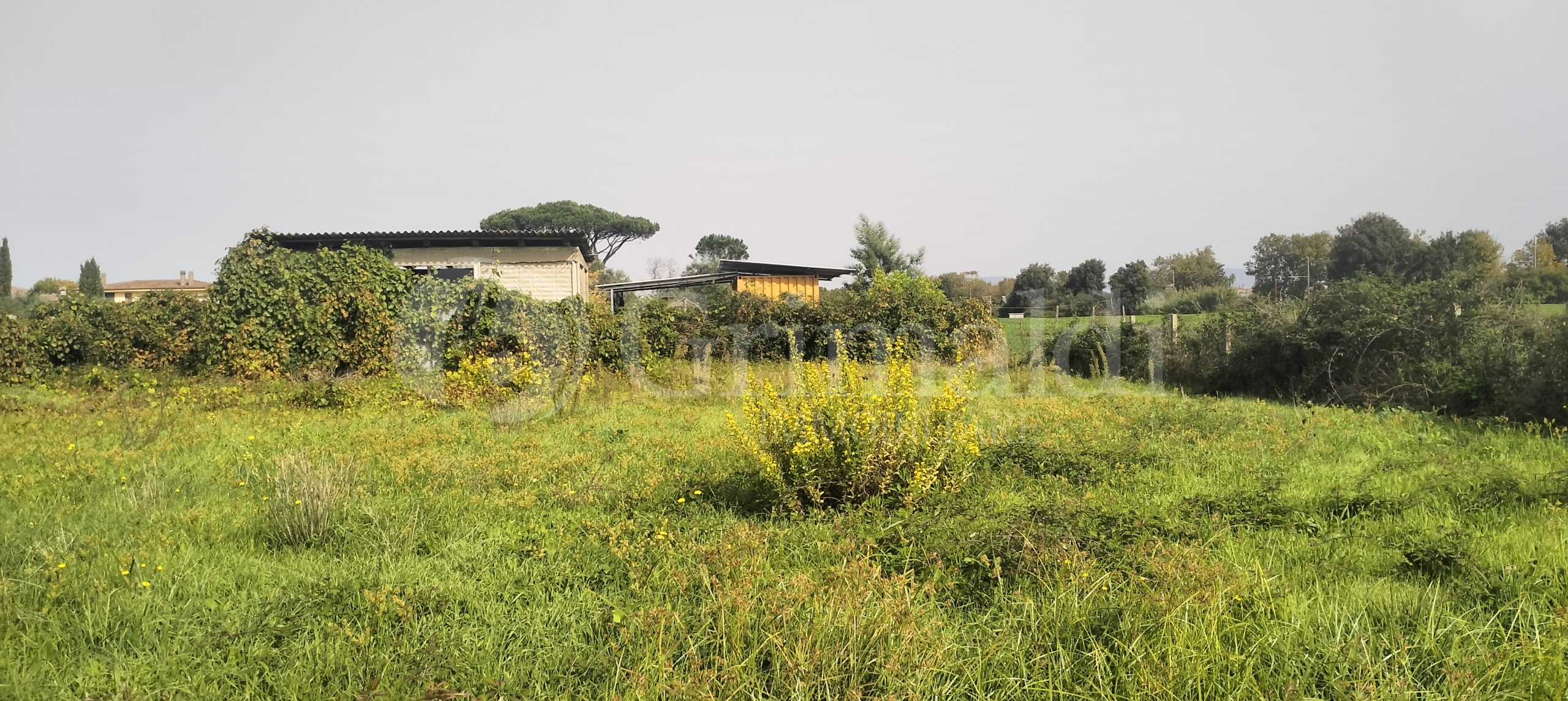 Immagine 12 di Terreno agricolo in vendita  in Via Lago di Sirino a Nettuno