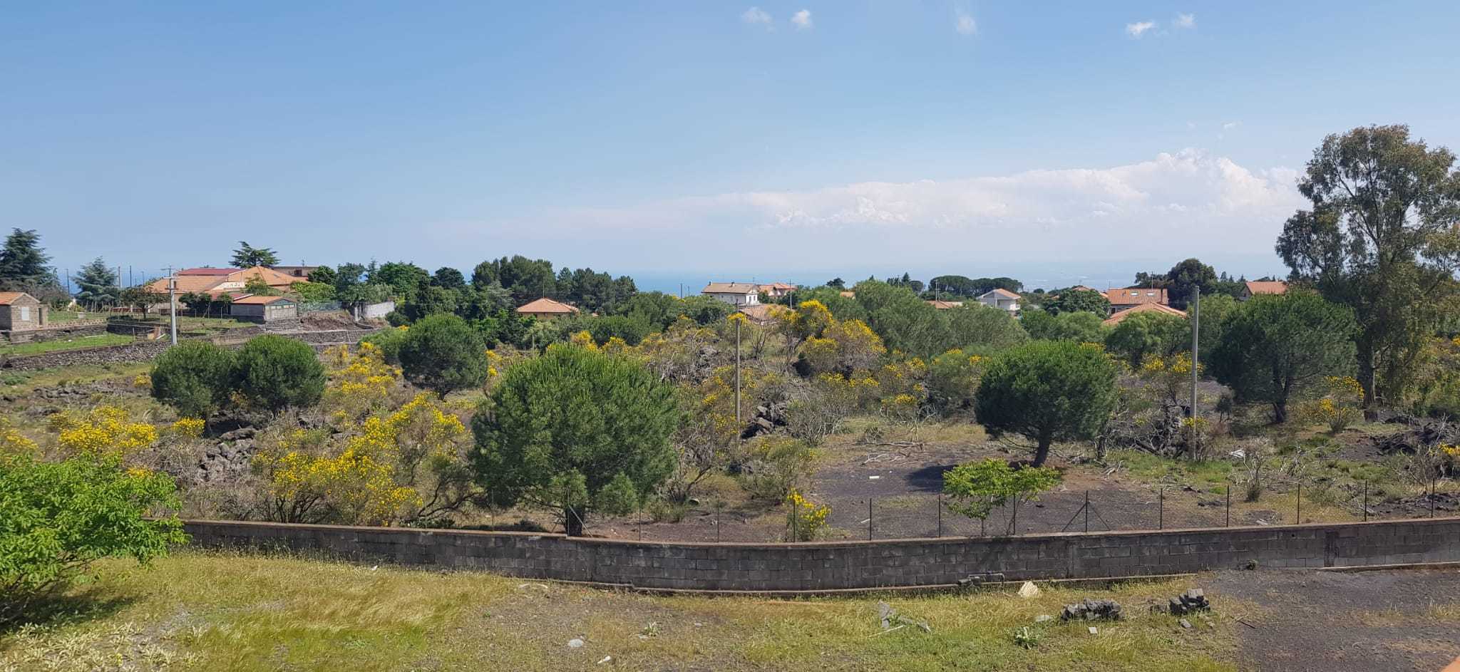 Foto annuncio 4