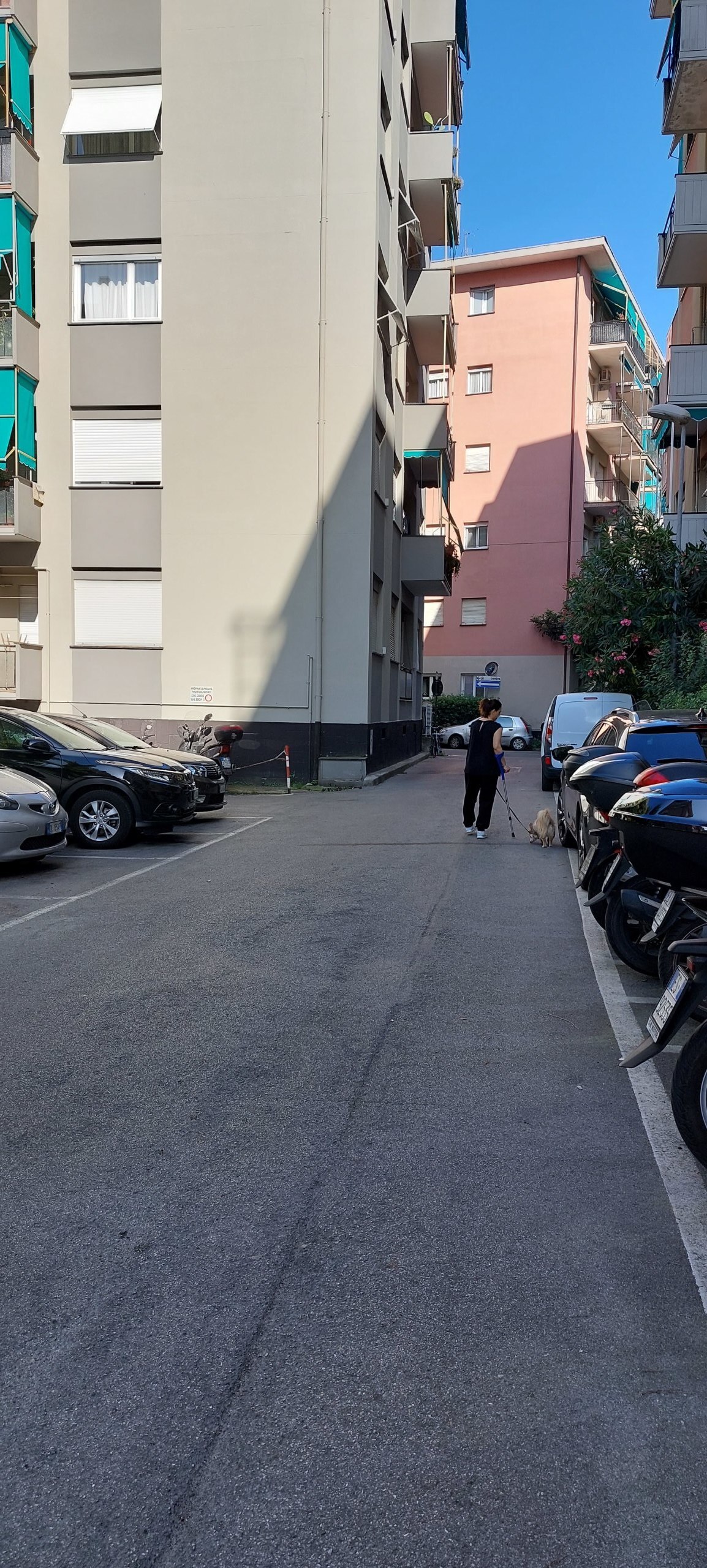 Foto annuncio 37