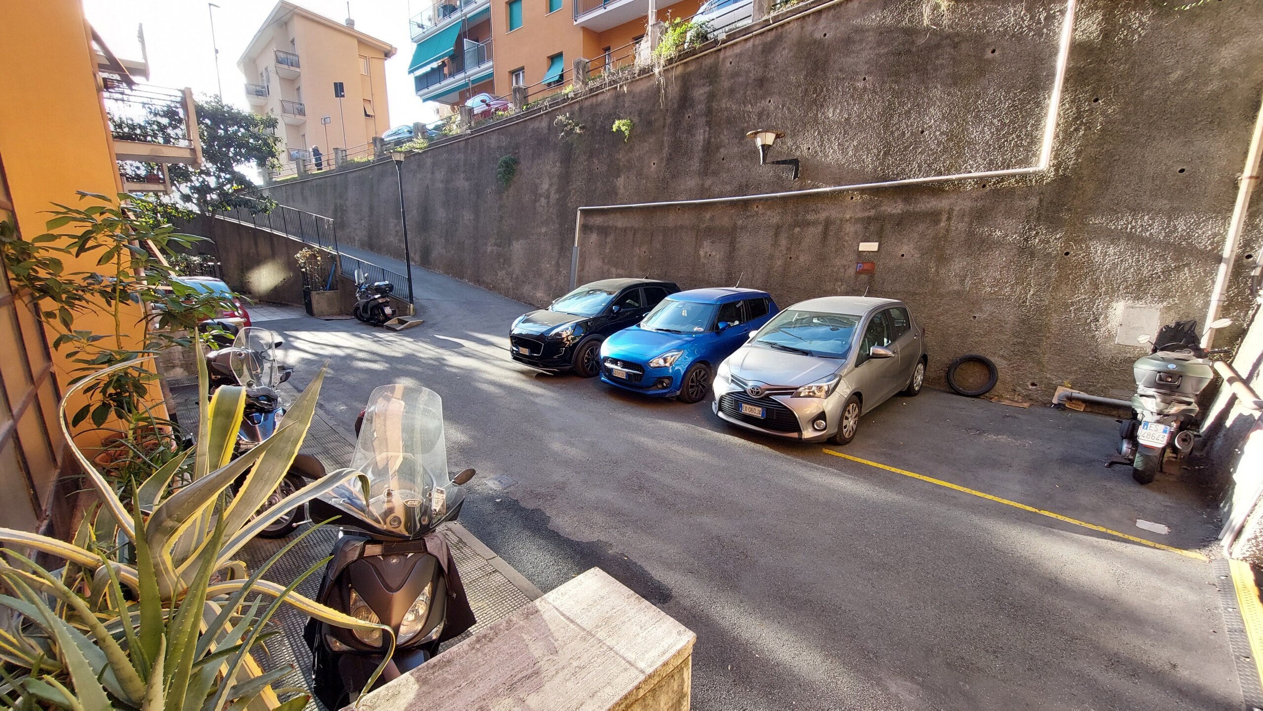Foto annuncio 31