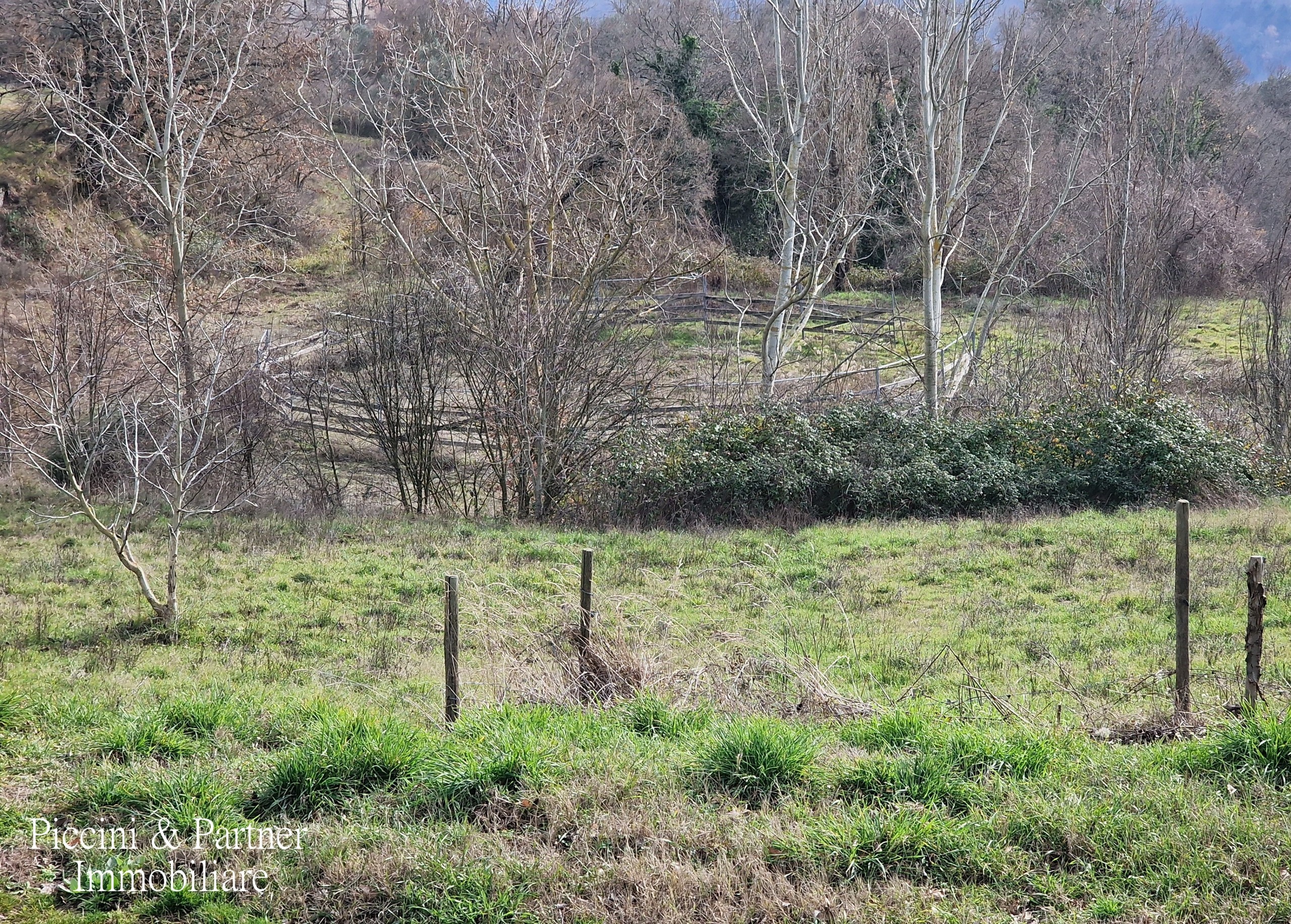 Immagine 78 di Rustico / casale in vendita  in Via del Conventaccio a Ficulle
