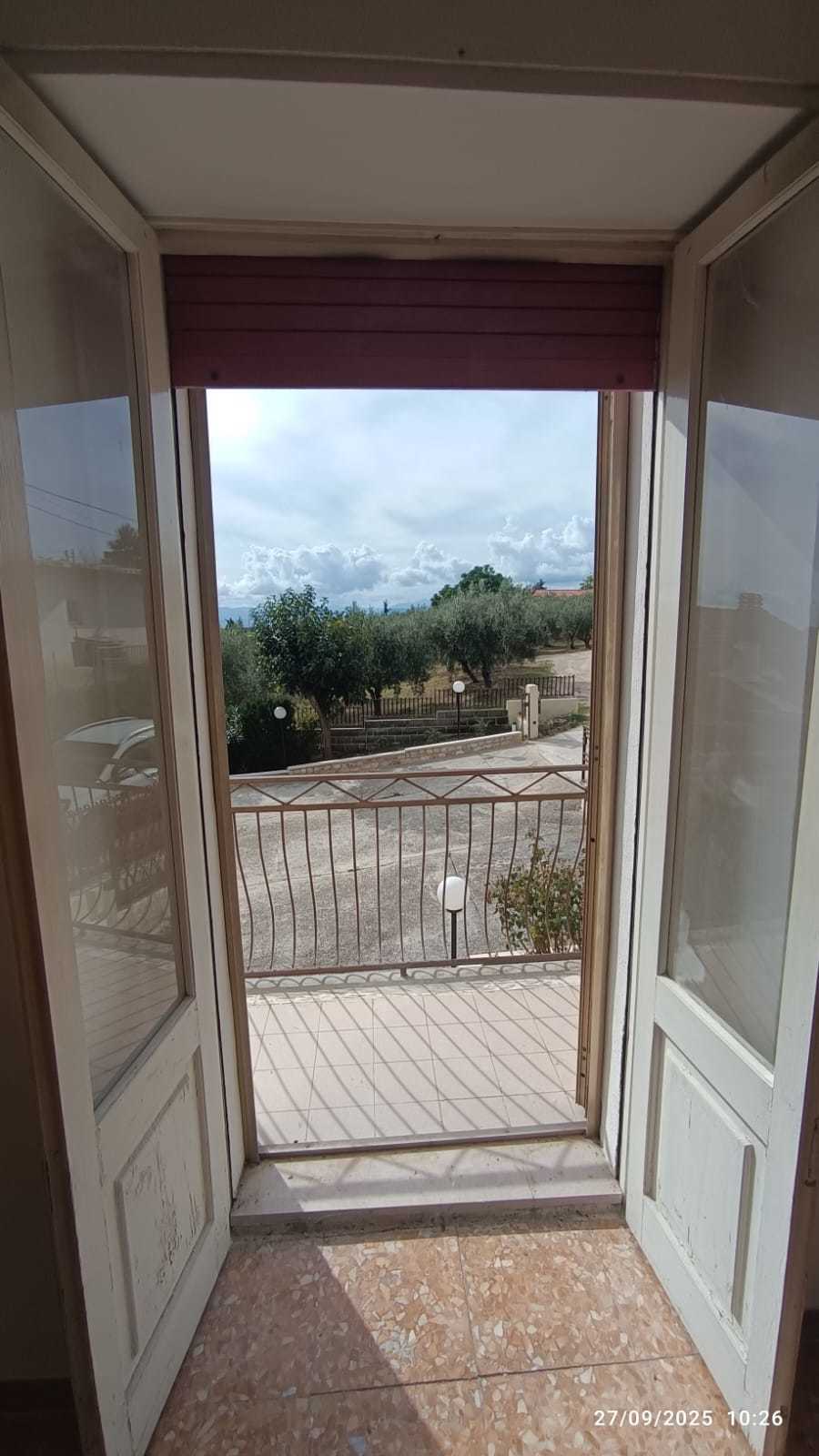 Foto annuncio 29