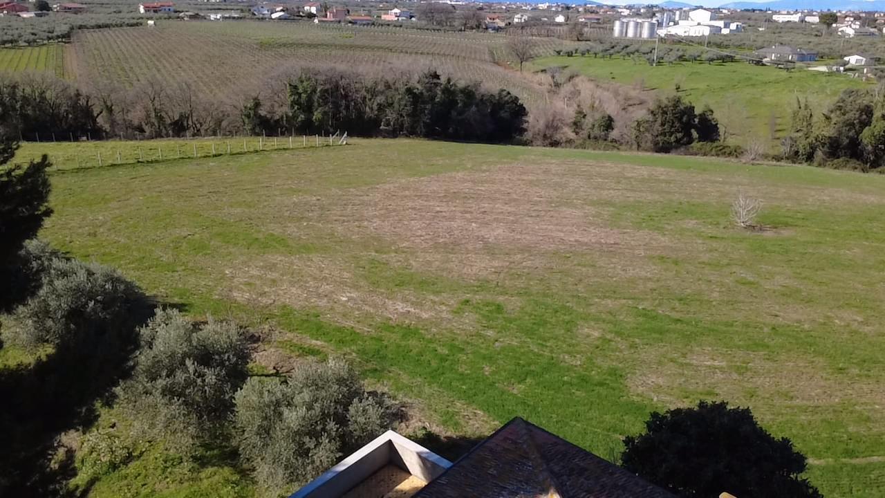 Foto annuncio 62