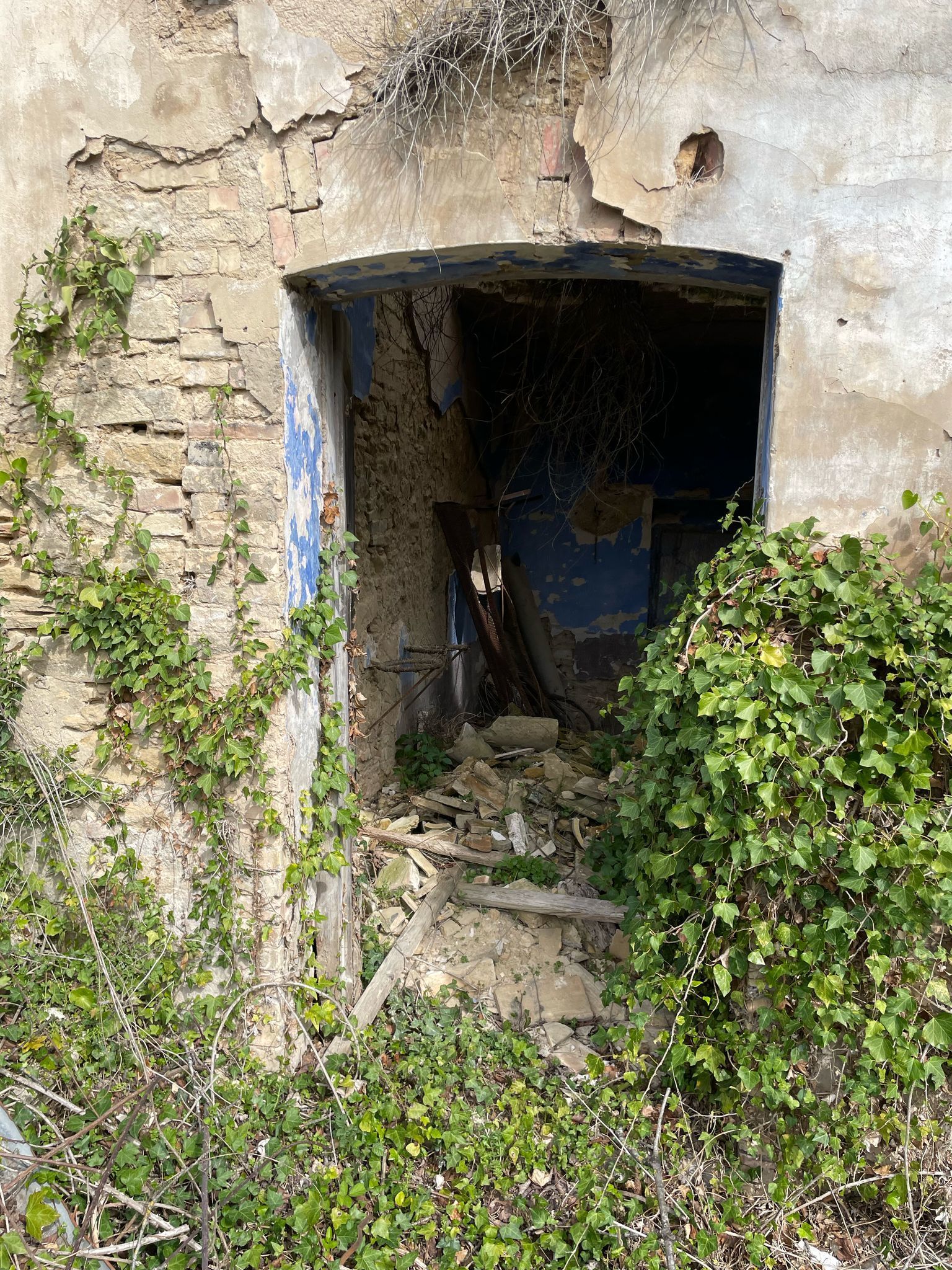 Foto annuncio 42