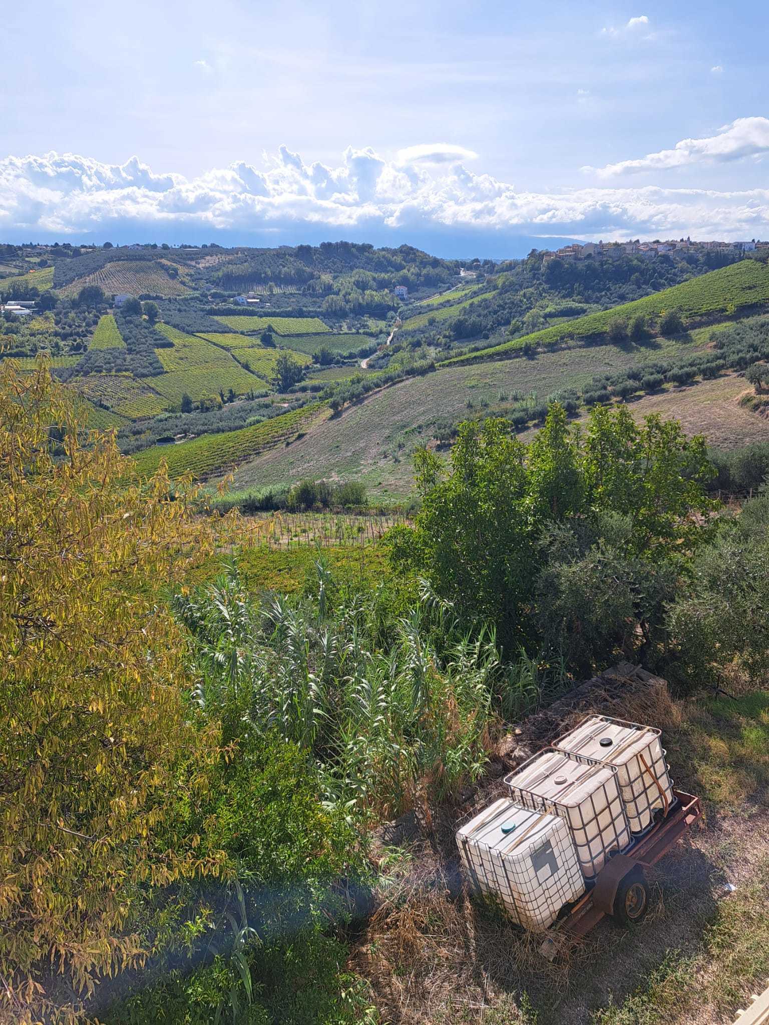 Foto annuncio 55