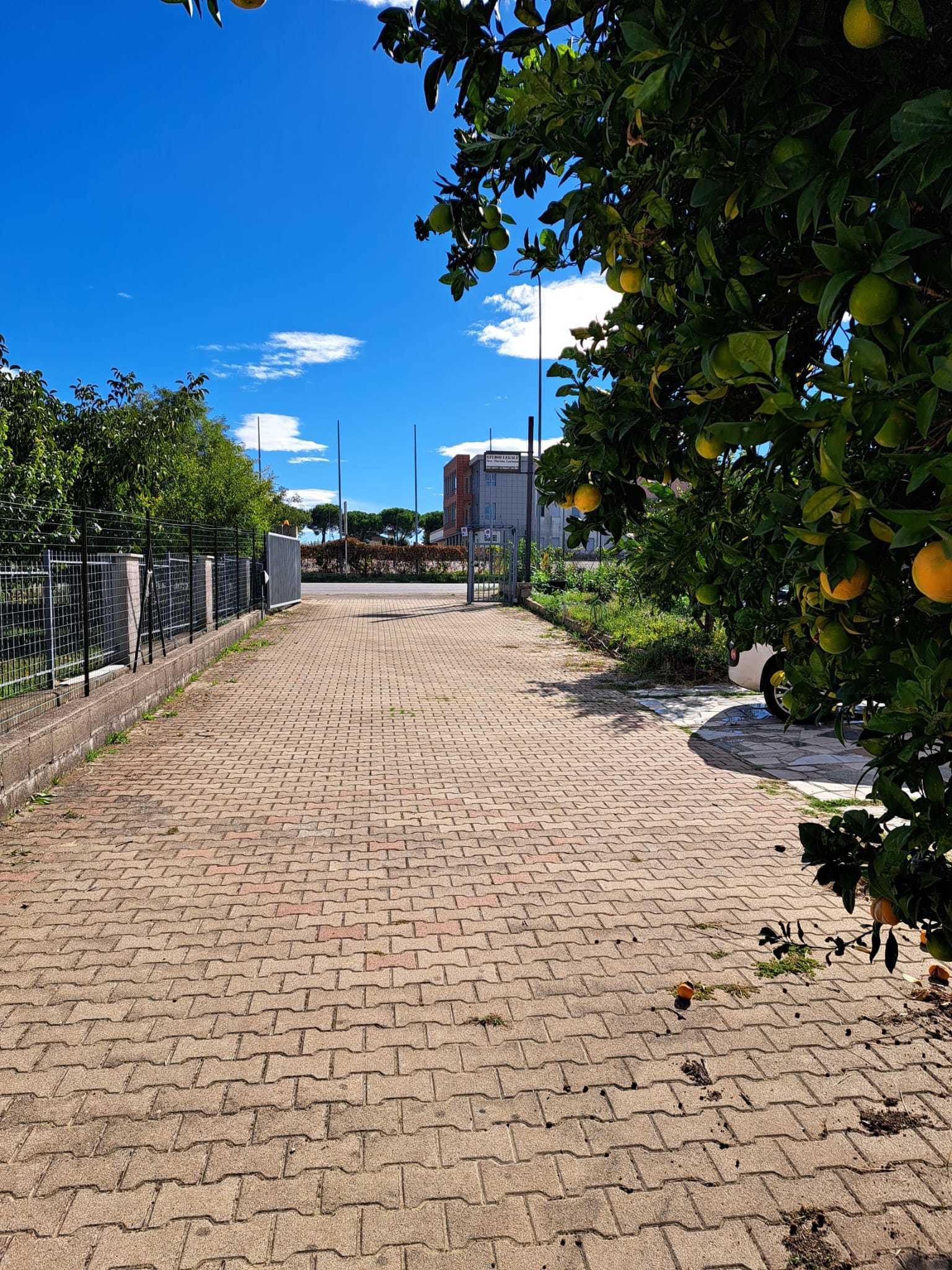 Foto annuncio 24