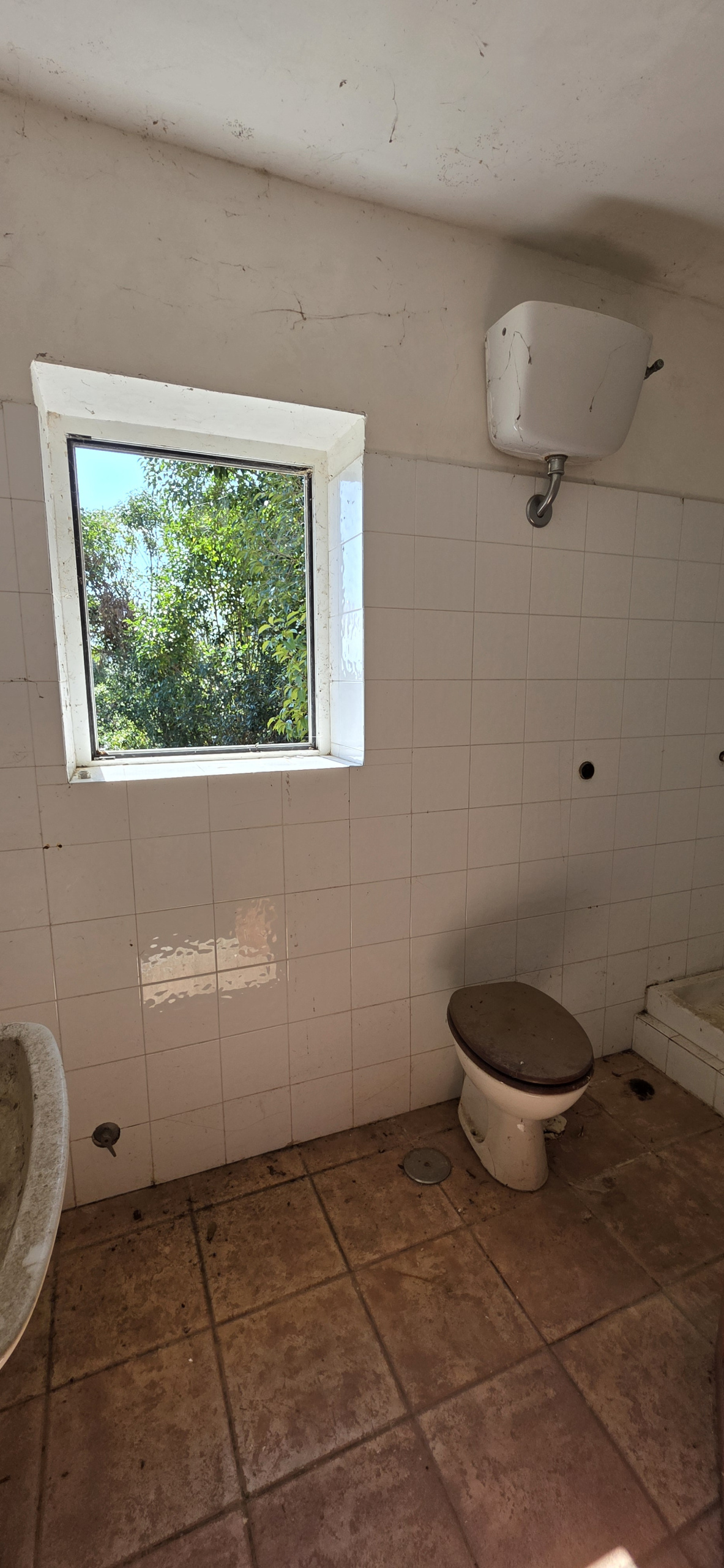 Foto annuncio 30