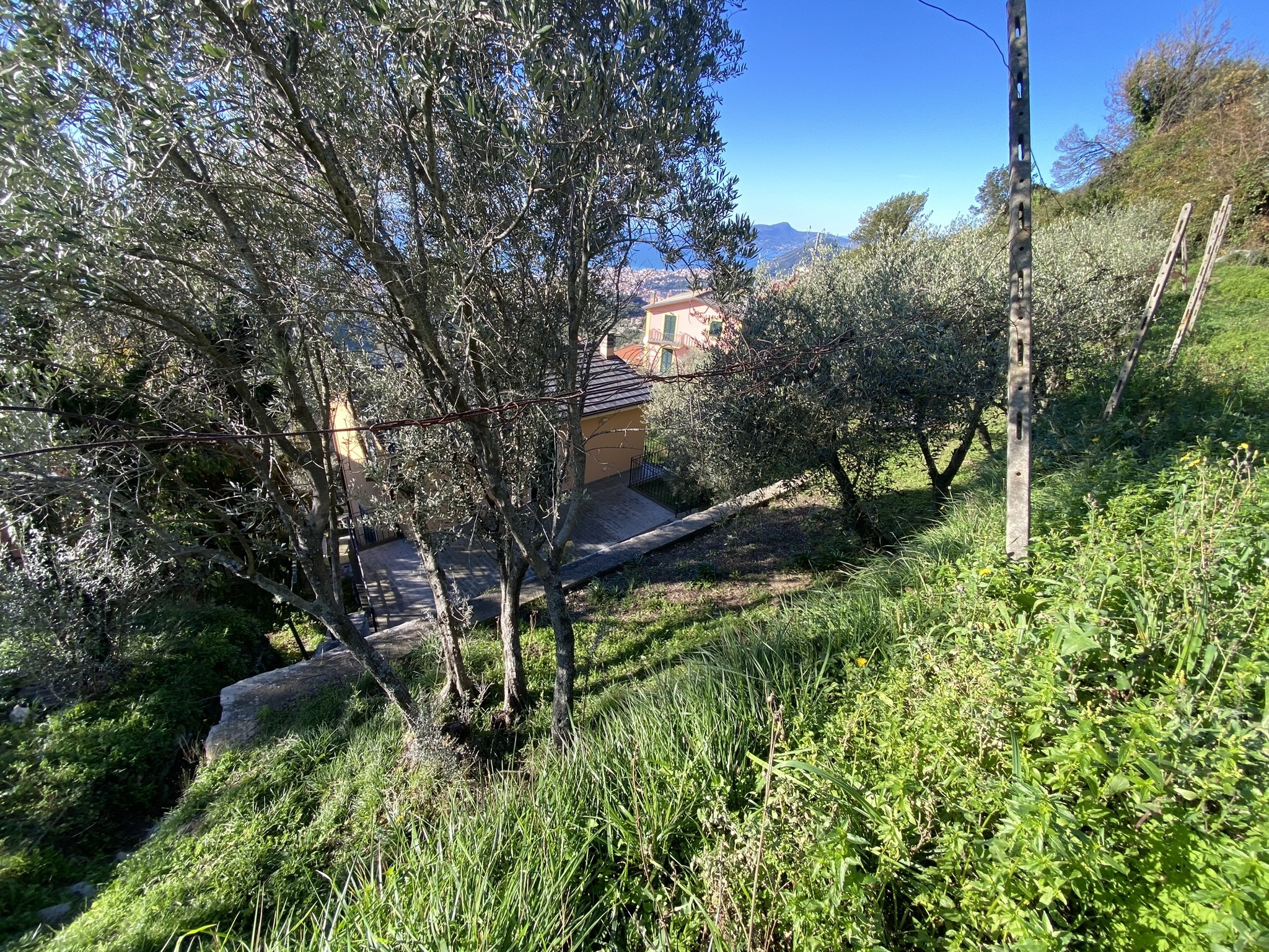 Foto annuncio 41