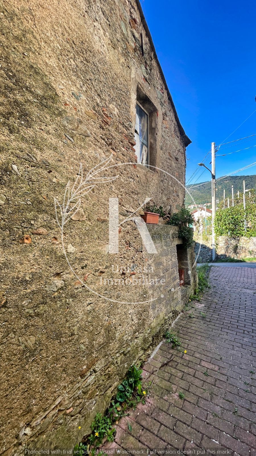 Foto annuncio 7