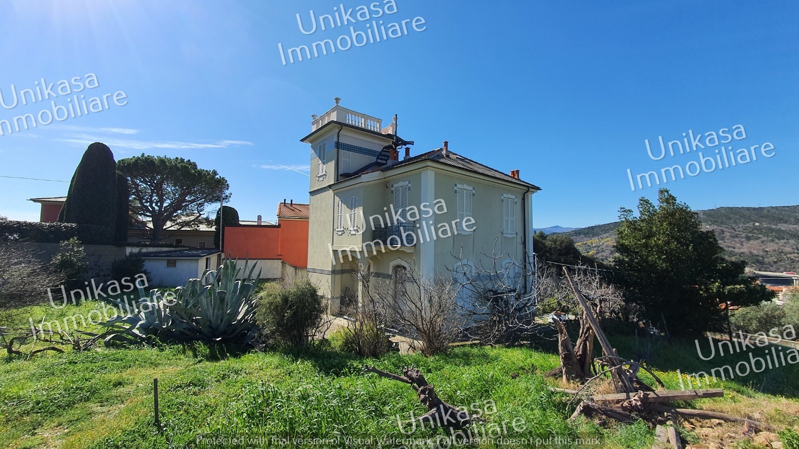 Foto annuncio 7