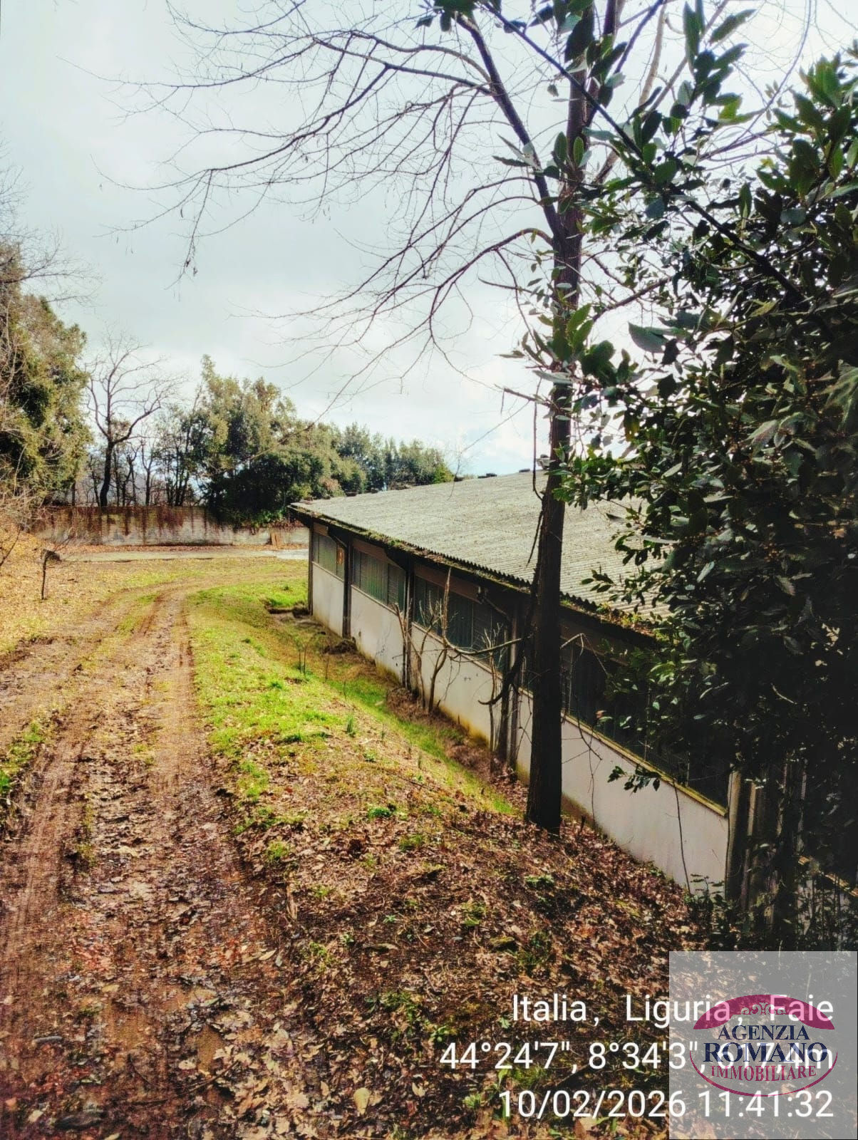 Foto annuncio 34