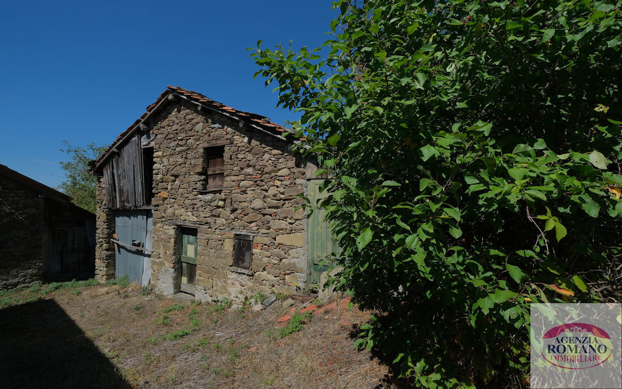 Foto annuncio 4