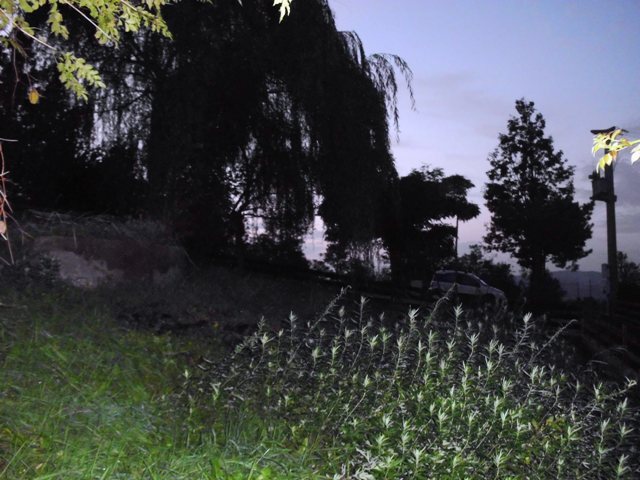 Foto annuncio 12