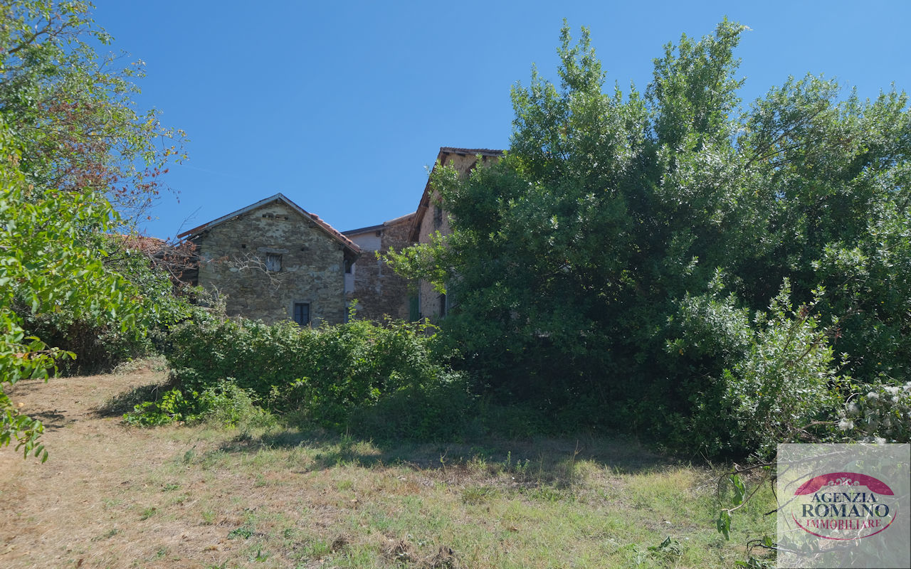 Foto annuncio 18