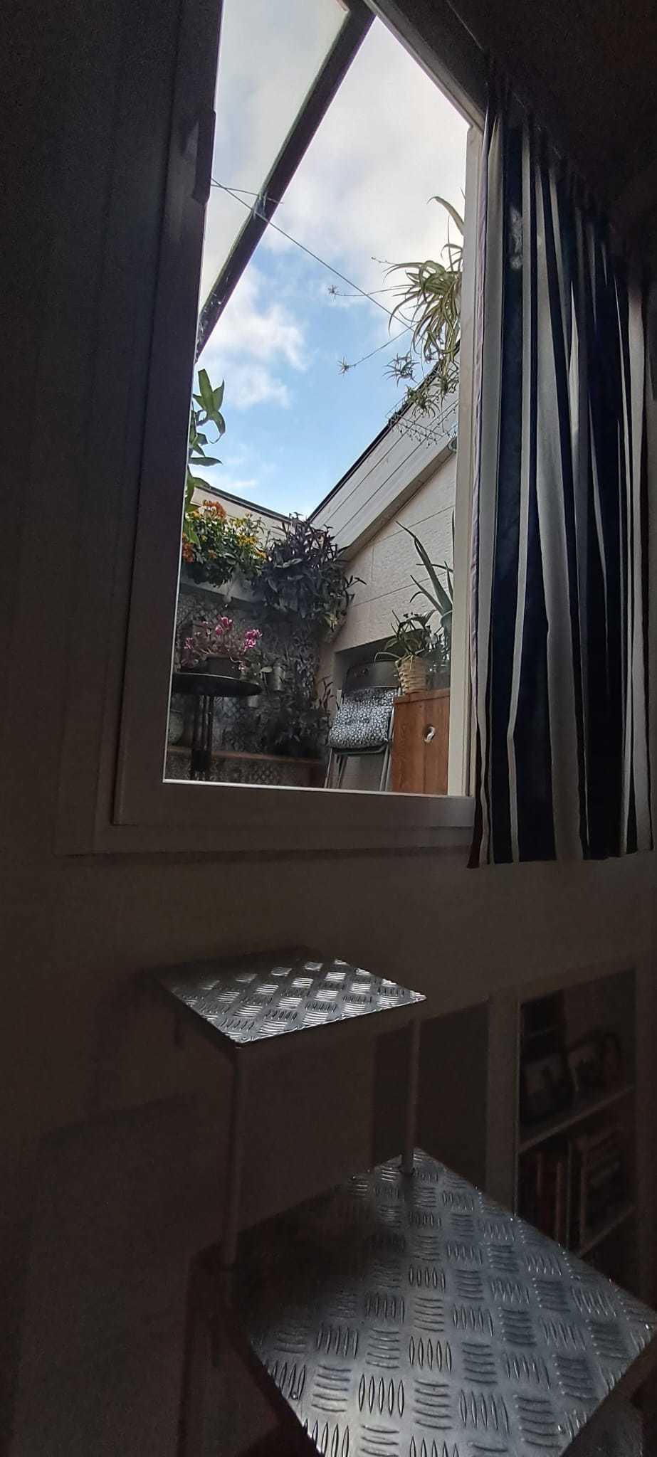 Foto annuncio 29