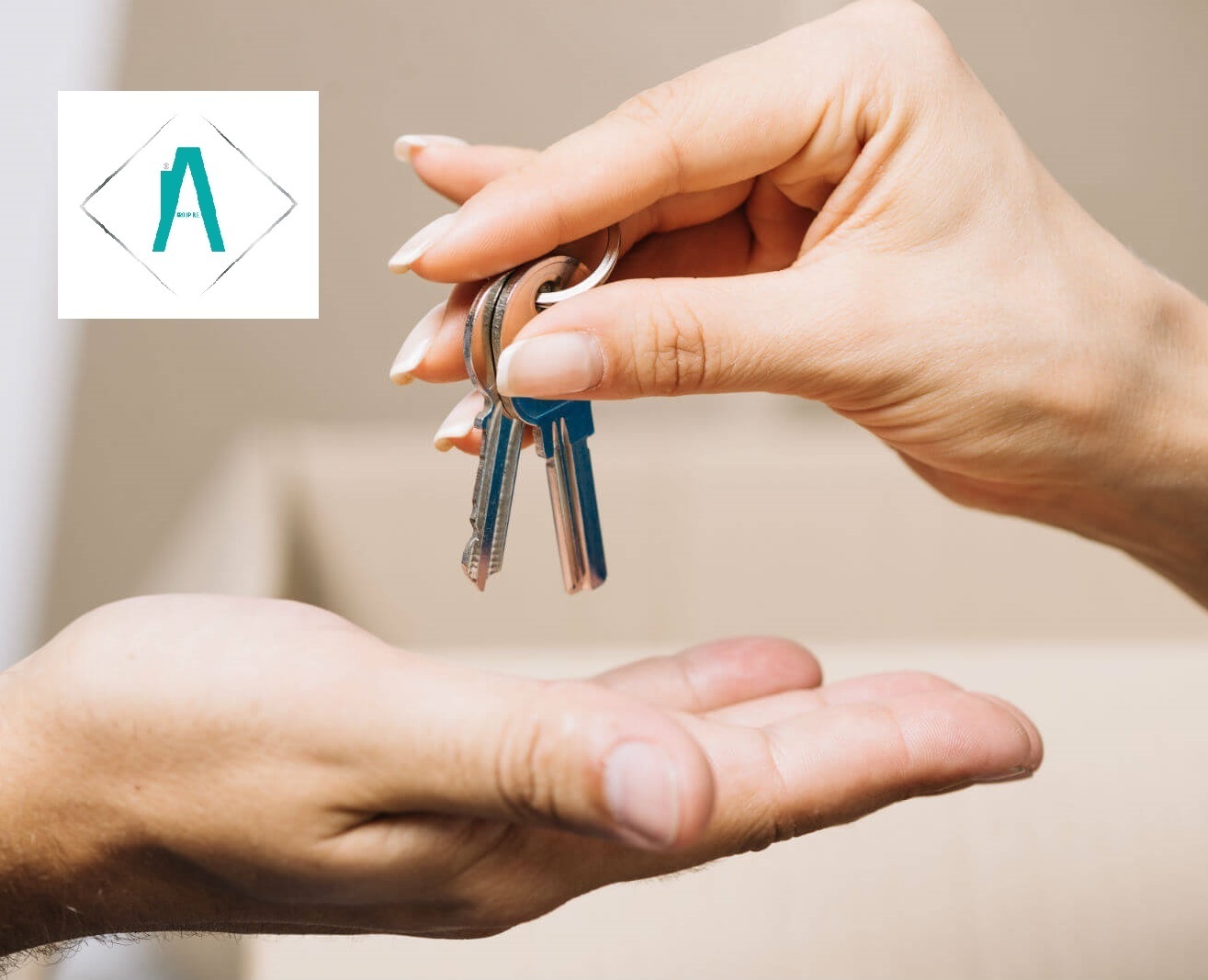 Immagine 7 di Pentalocale in vendita  in Via Lorenzo Lucifredi snc a Borghetto D'arroscia