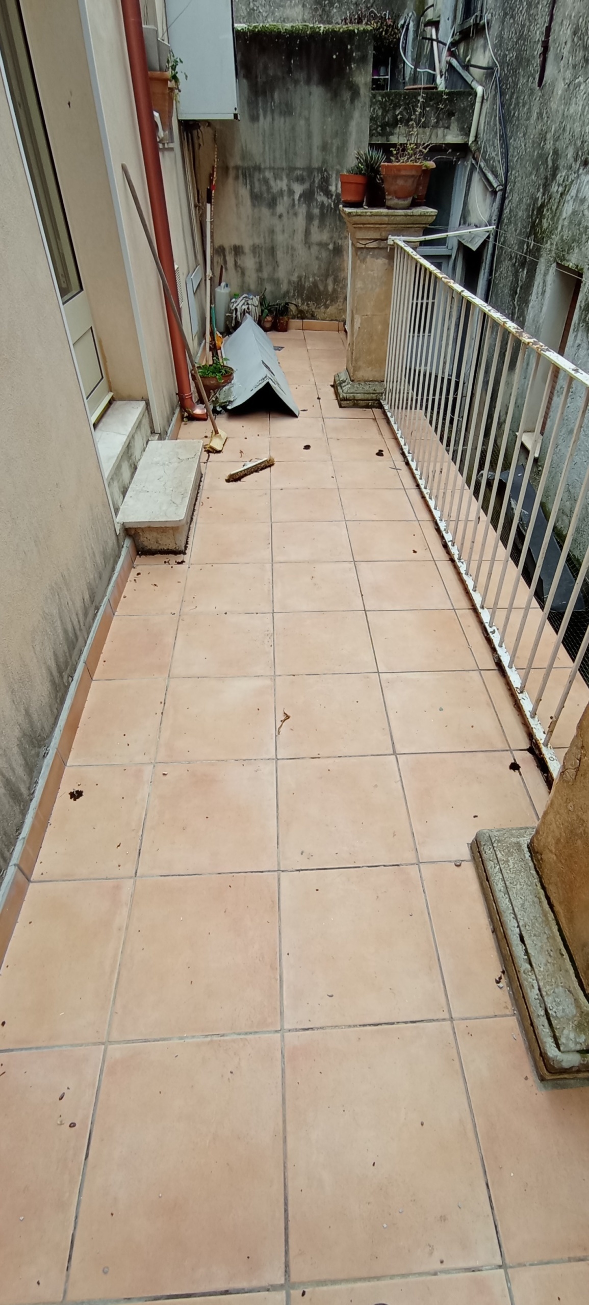 Foto annuncio 5