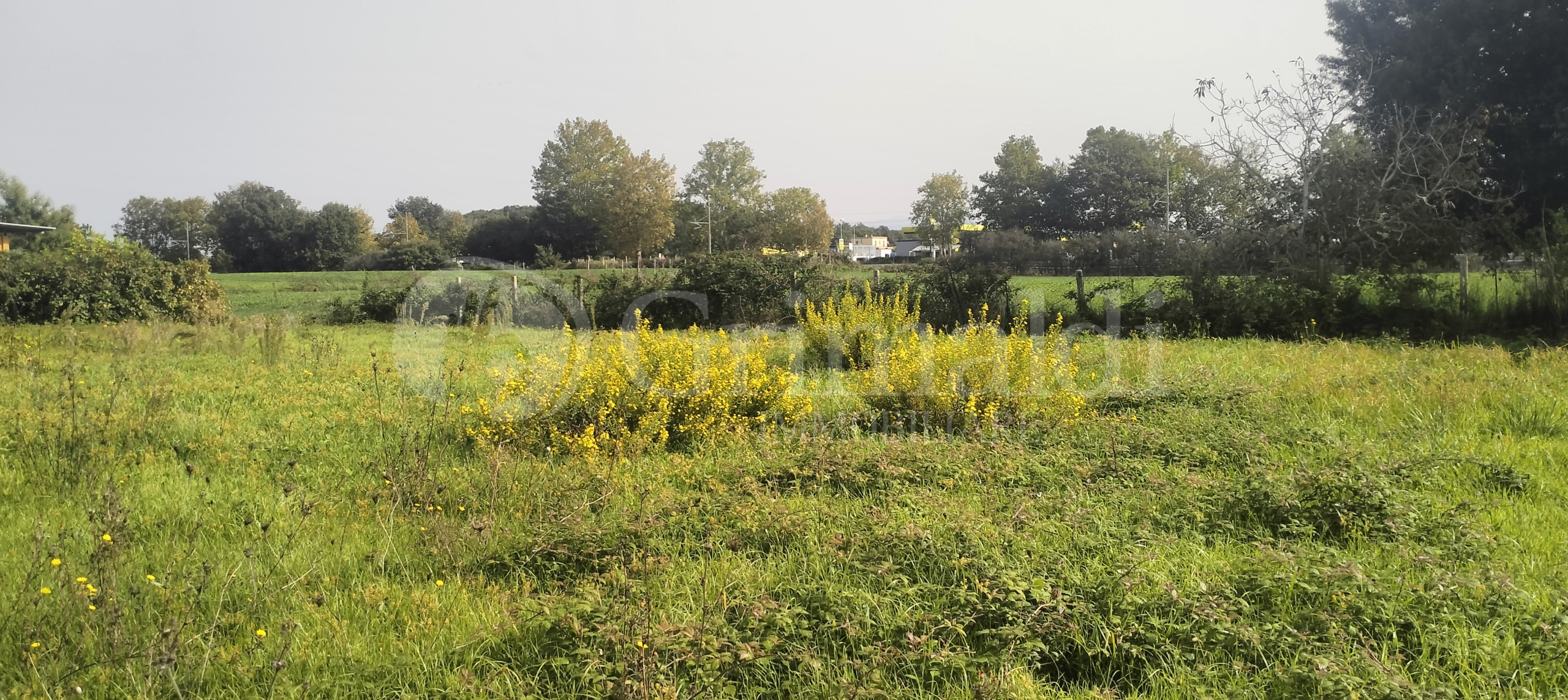 Immagine 3 di Terreno agricolo in vendita  in Via Lago di Sirino a Nettuno