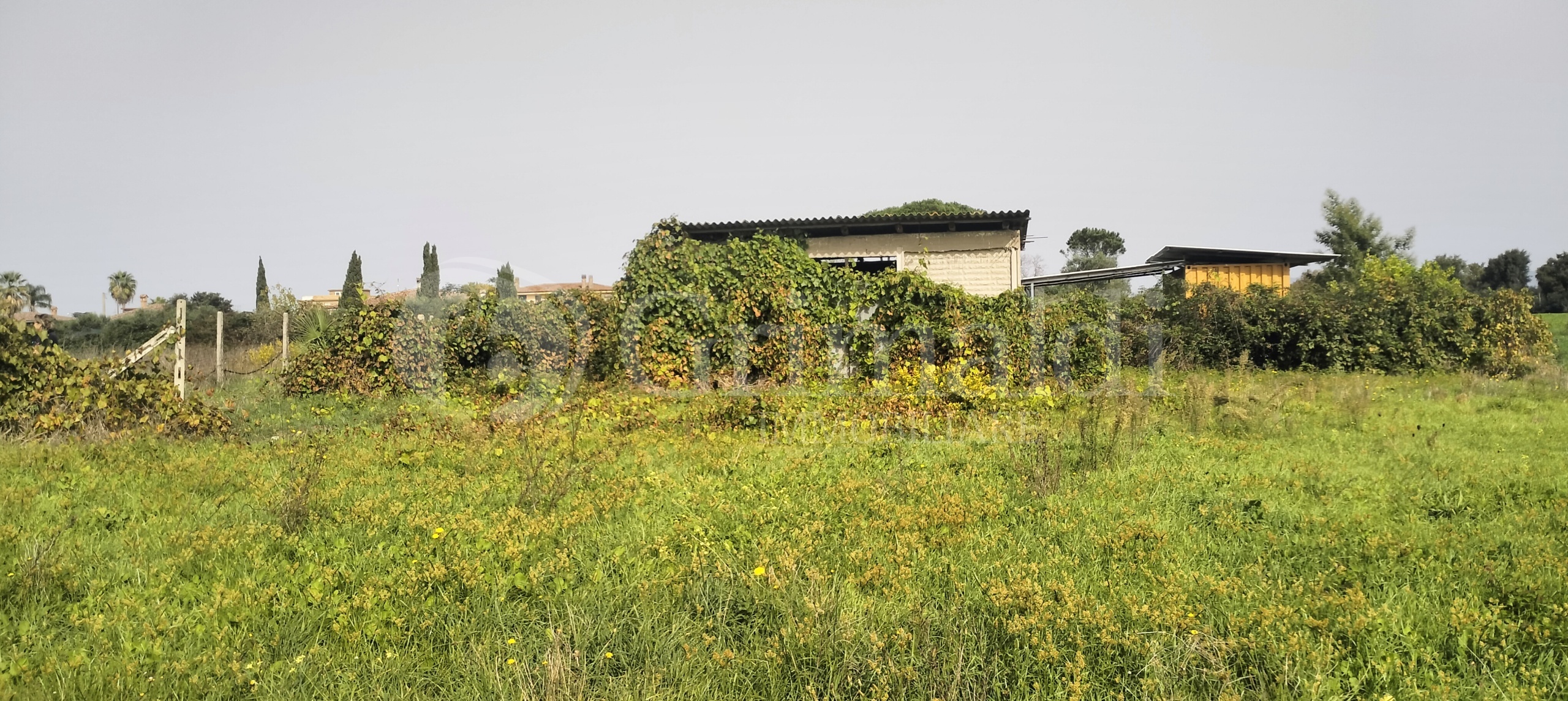 Immagine 9 di Terreno agricolo in vendita  in Via Lago di Sirino a Nettuno