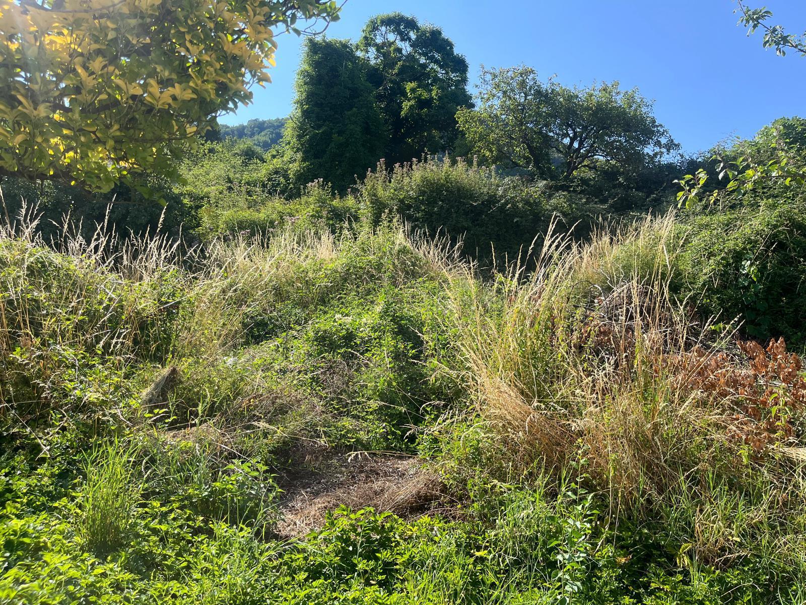 Immagine 4 di Porzione di casa in vendita  in Via IV Novembre 20 a Maissana