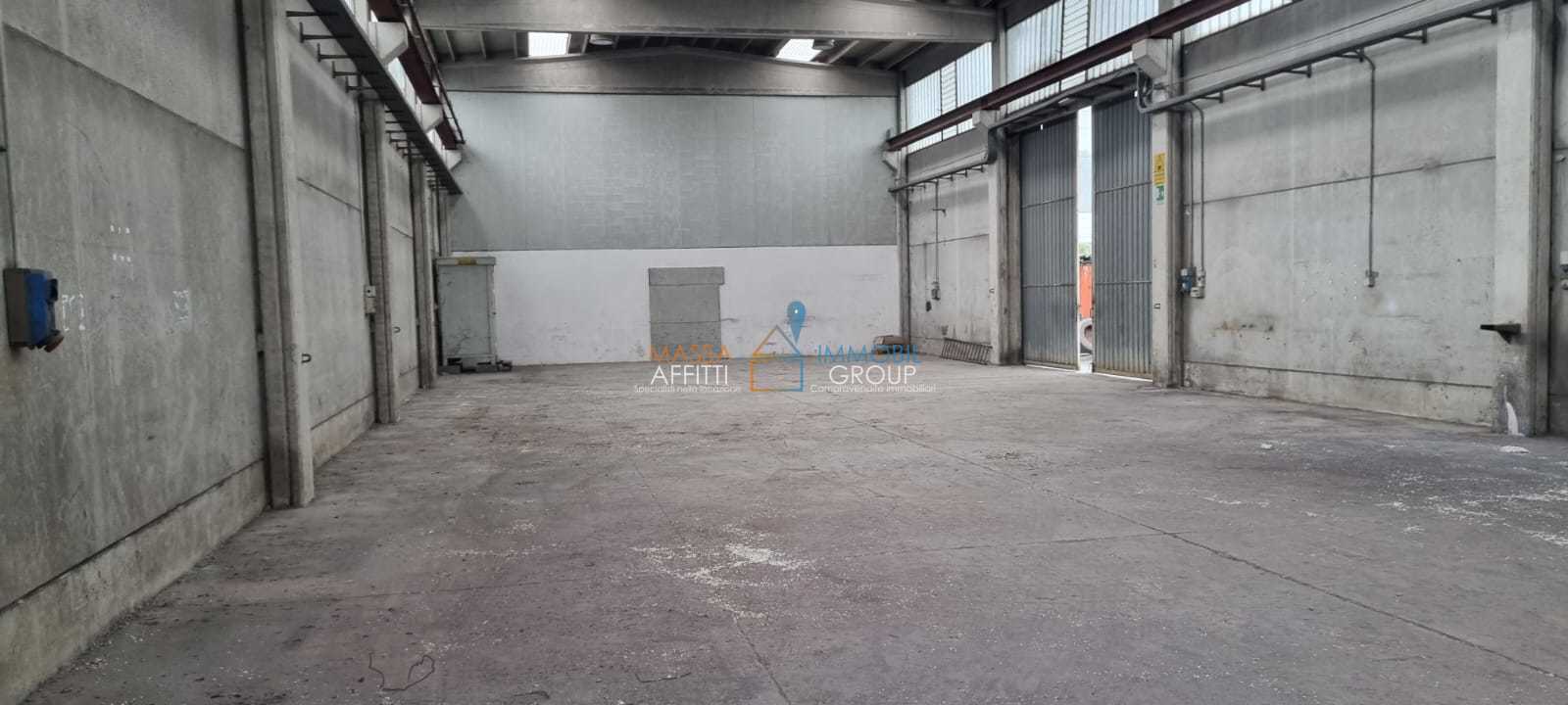 Foto annuncio 11