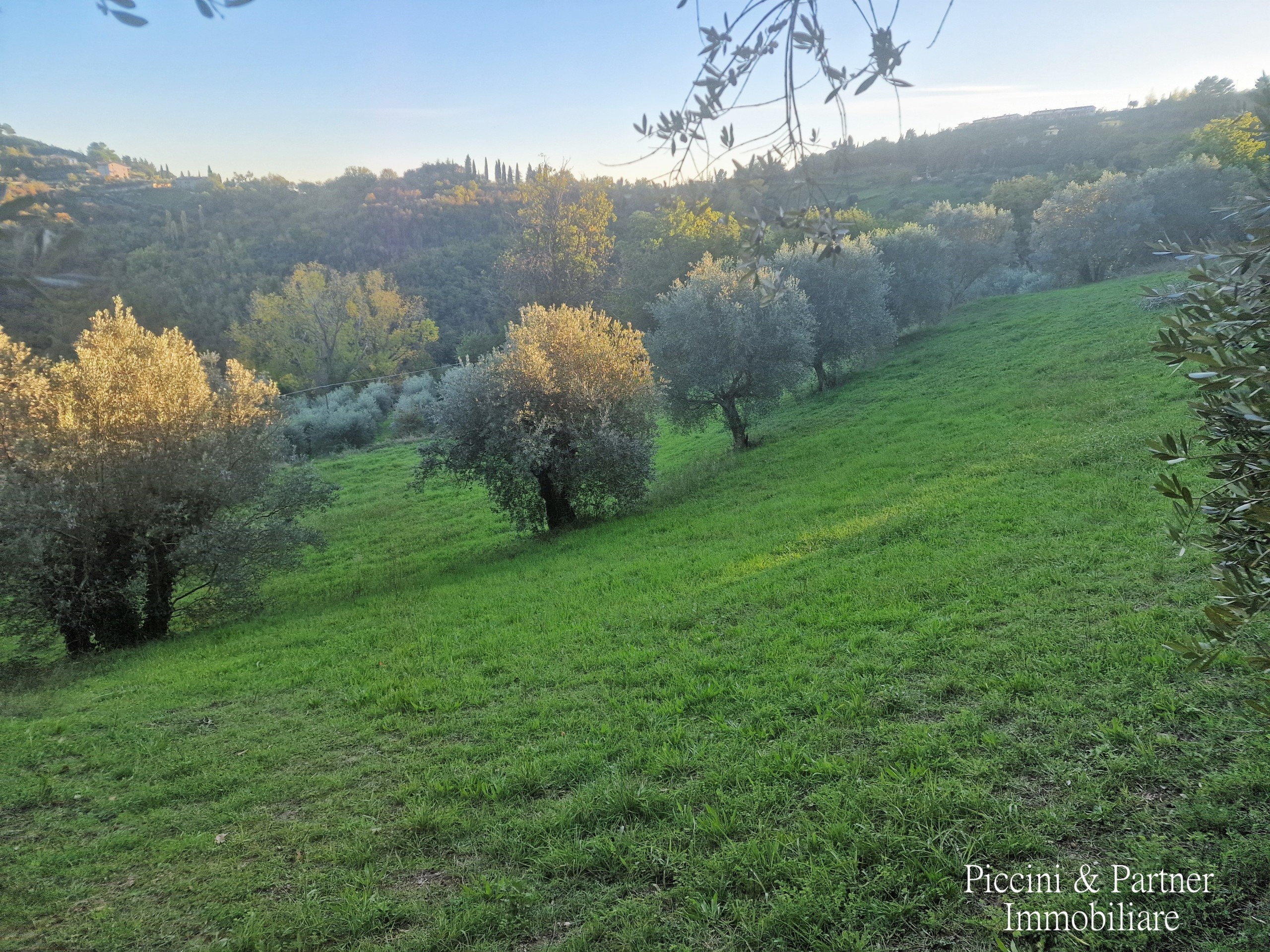 Immagine 45 di Pentalocale in vendita  in Strada Ponte Rio Ponte Pattoli a Perugia