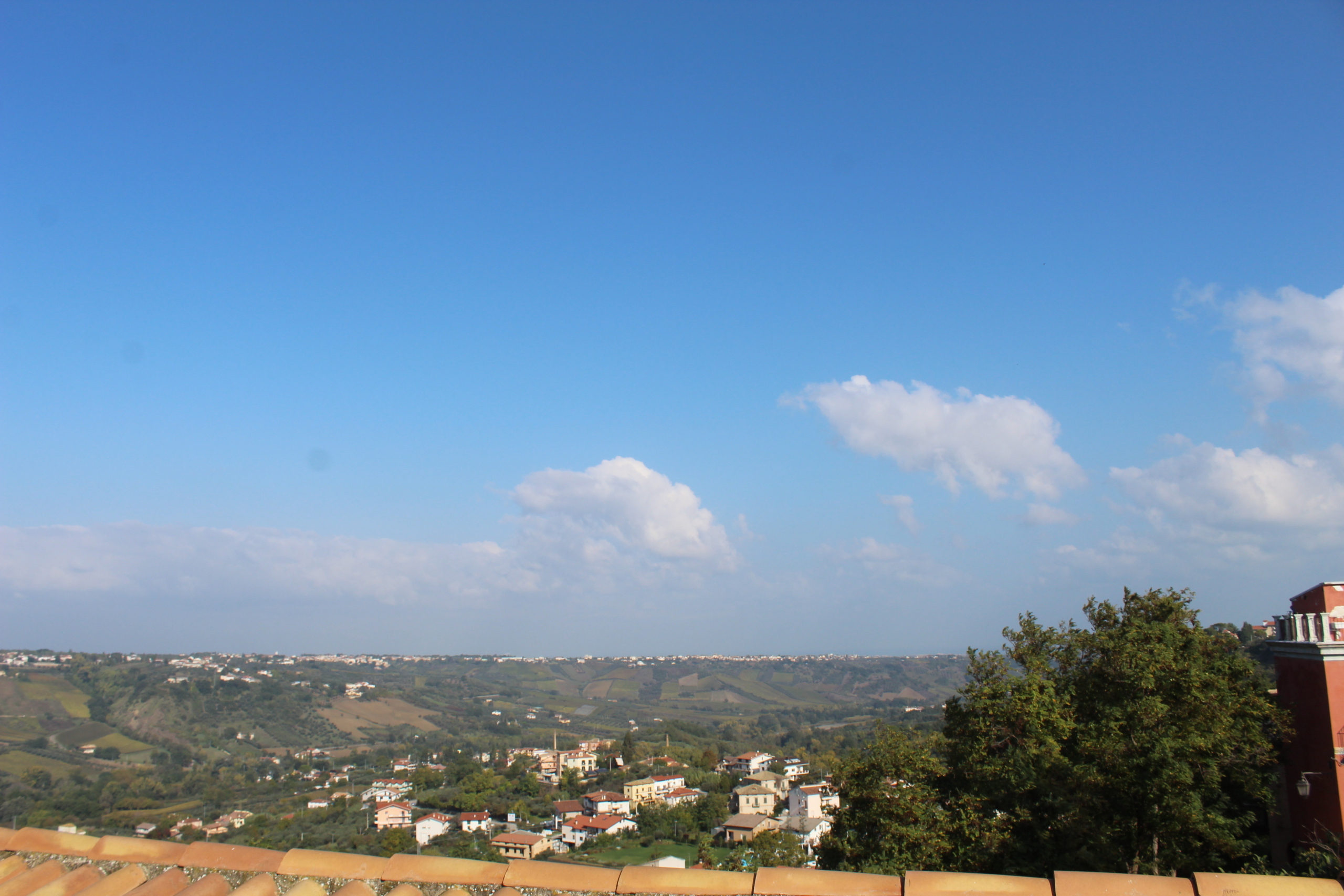 Foto annuncio 4