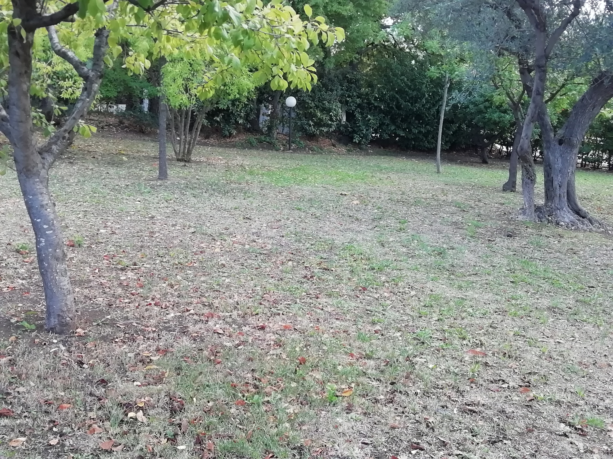 Foto annuncio 24