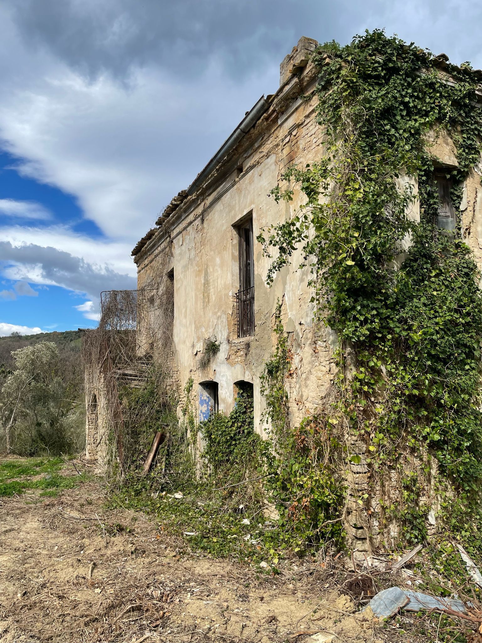 Foto annuncio 6