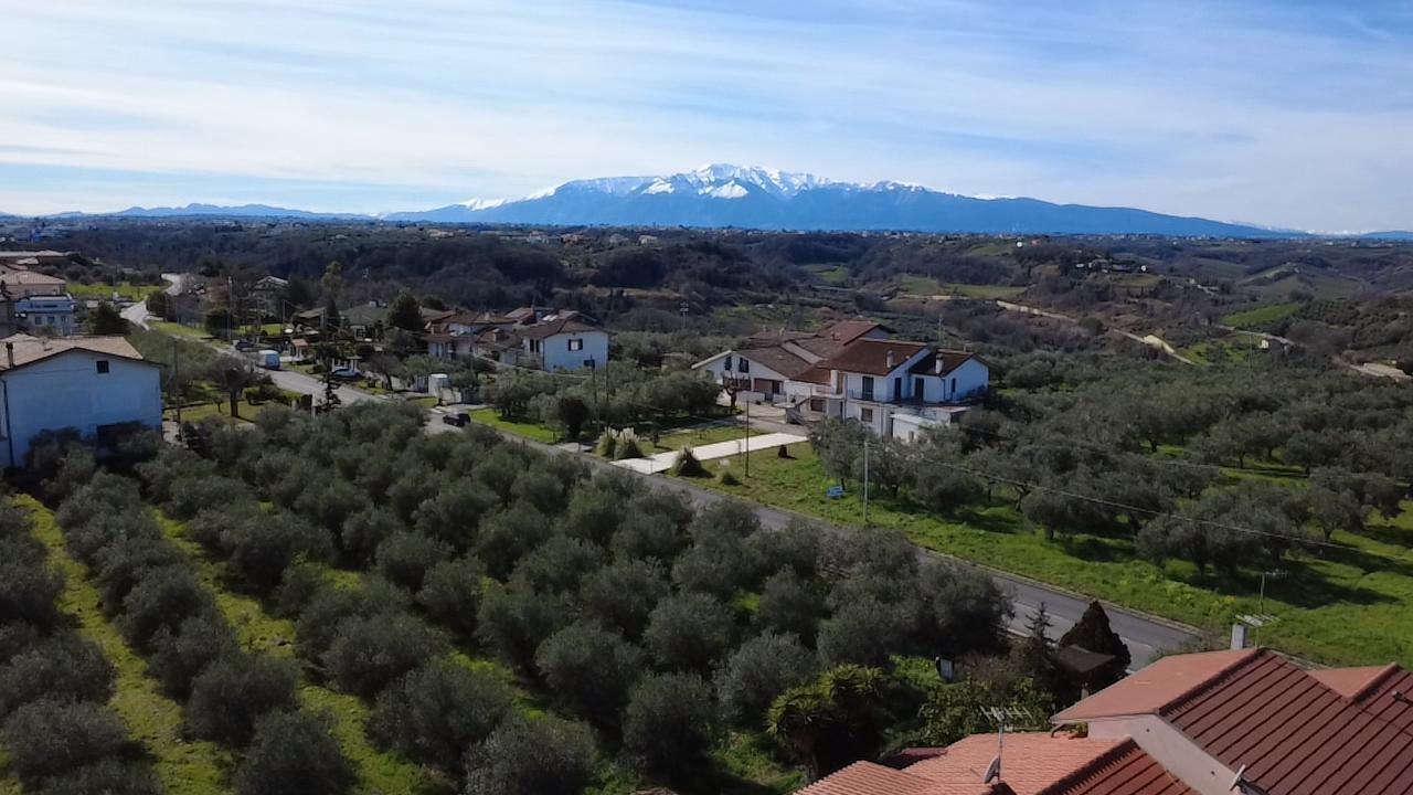 Foto annuncio 5