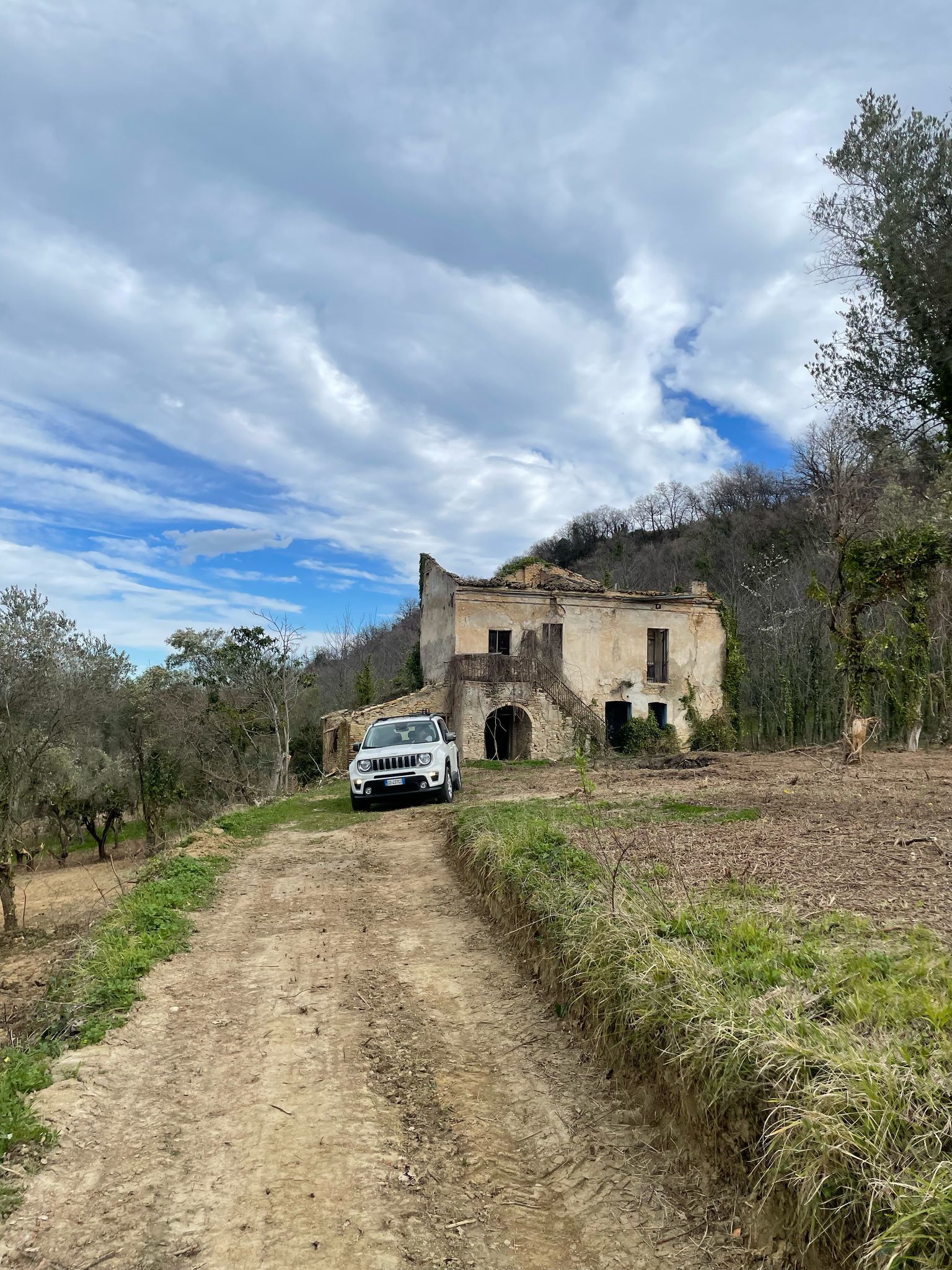Foto annuncio 7